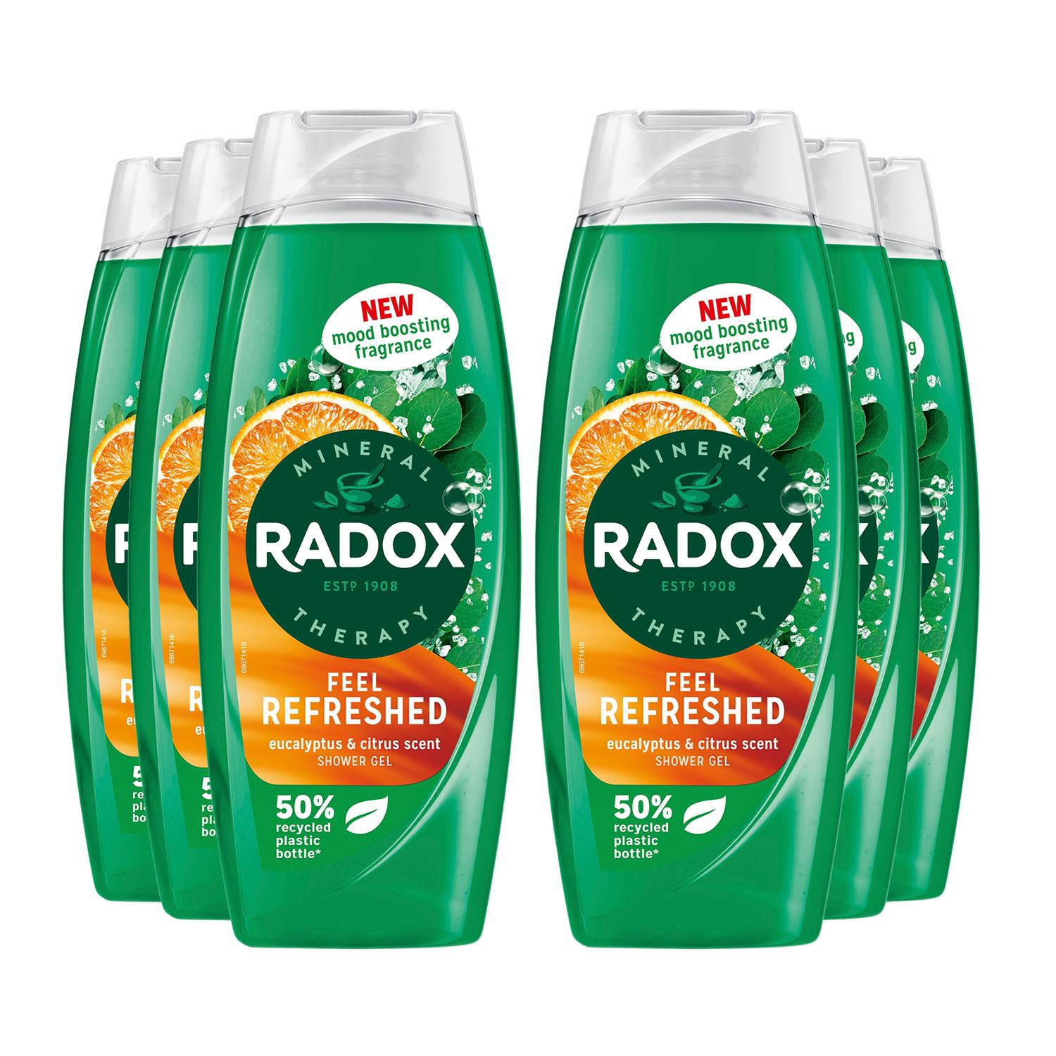 Radox Womens Shower Gel Feel Refreshed With Eucalyptus & Citrus Scent 450 ml, 6 Pack - NA - One Size