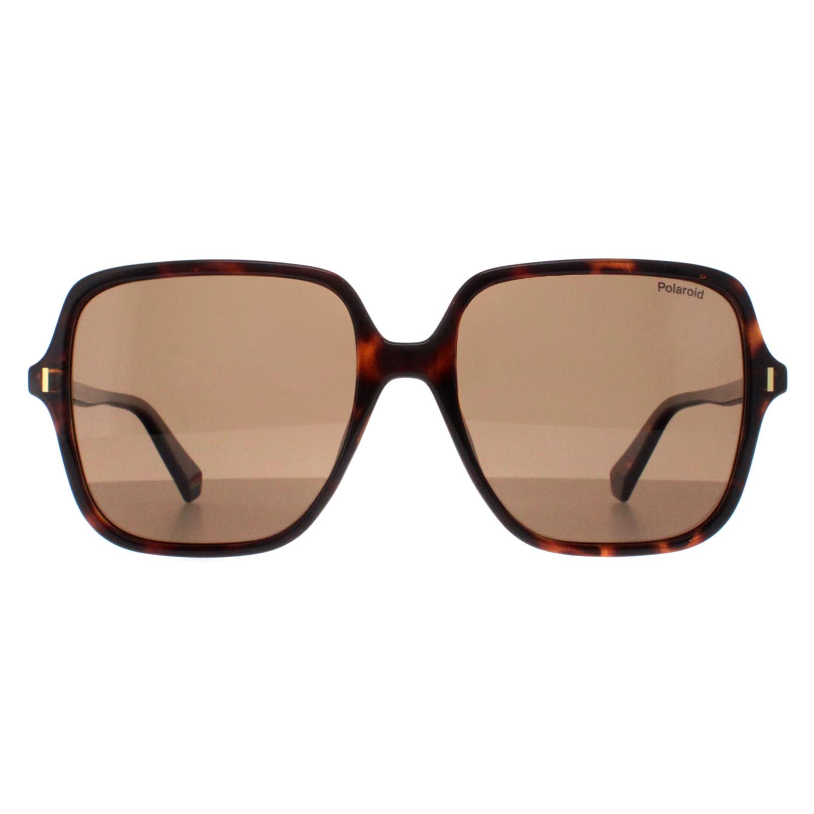 Polaroid Square Womens Havana Bronze Polarized PLD 6219/S - Brown - One Size