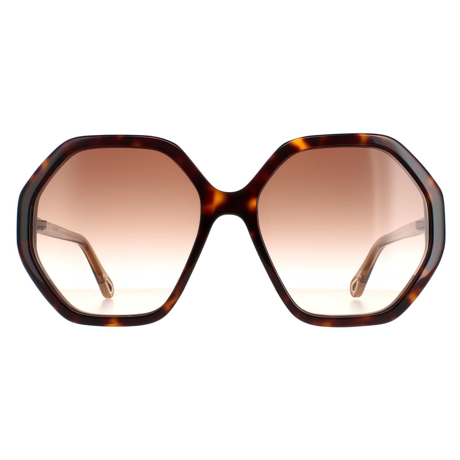 Chloé Chloe Round Womens Dark Havana and Brown Crystal Gradient CH0008S Esther - One Size