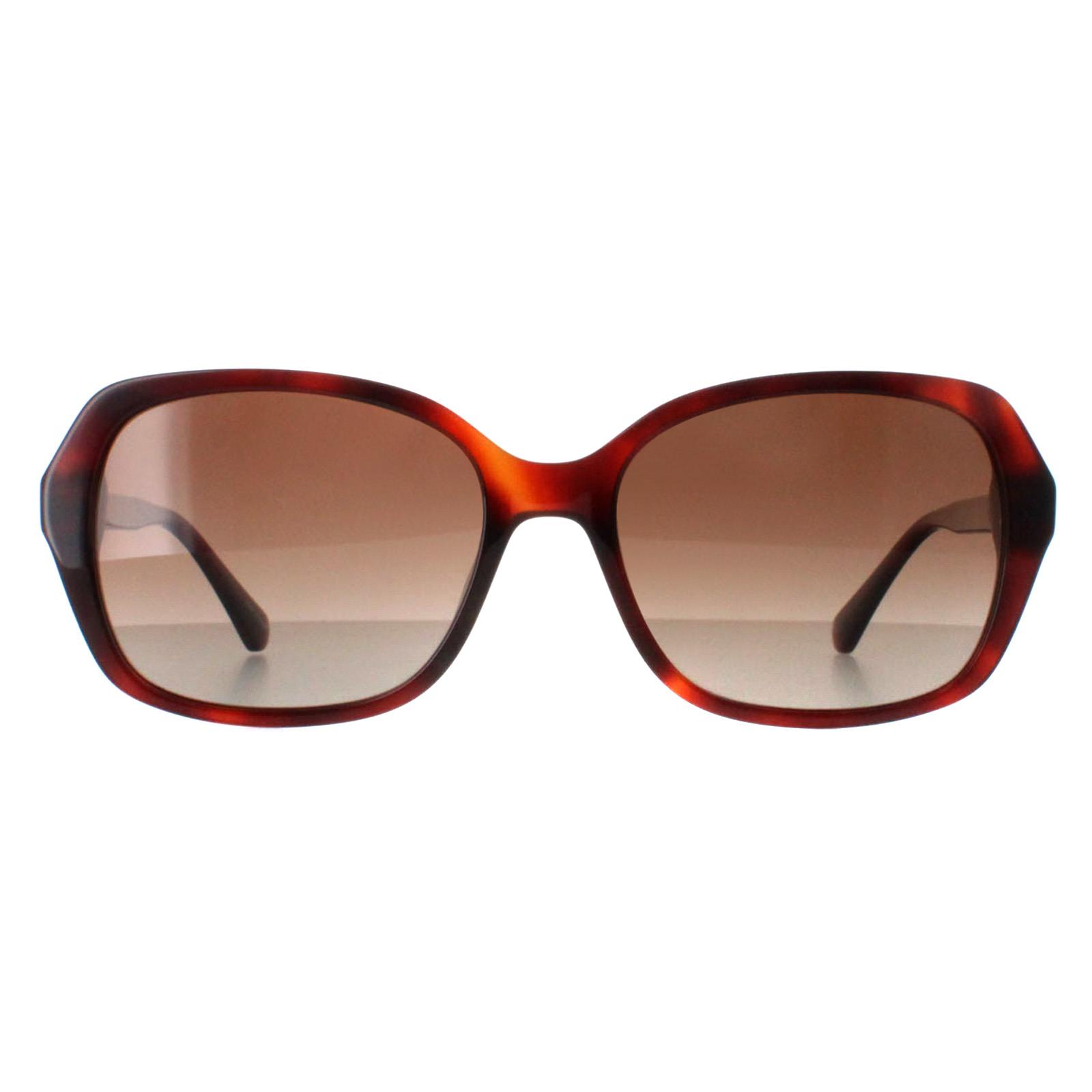 Kate Spade Buttefly Womens Havana Brown Gradient Polarized Yvette/S - One Size