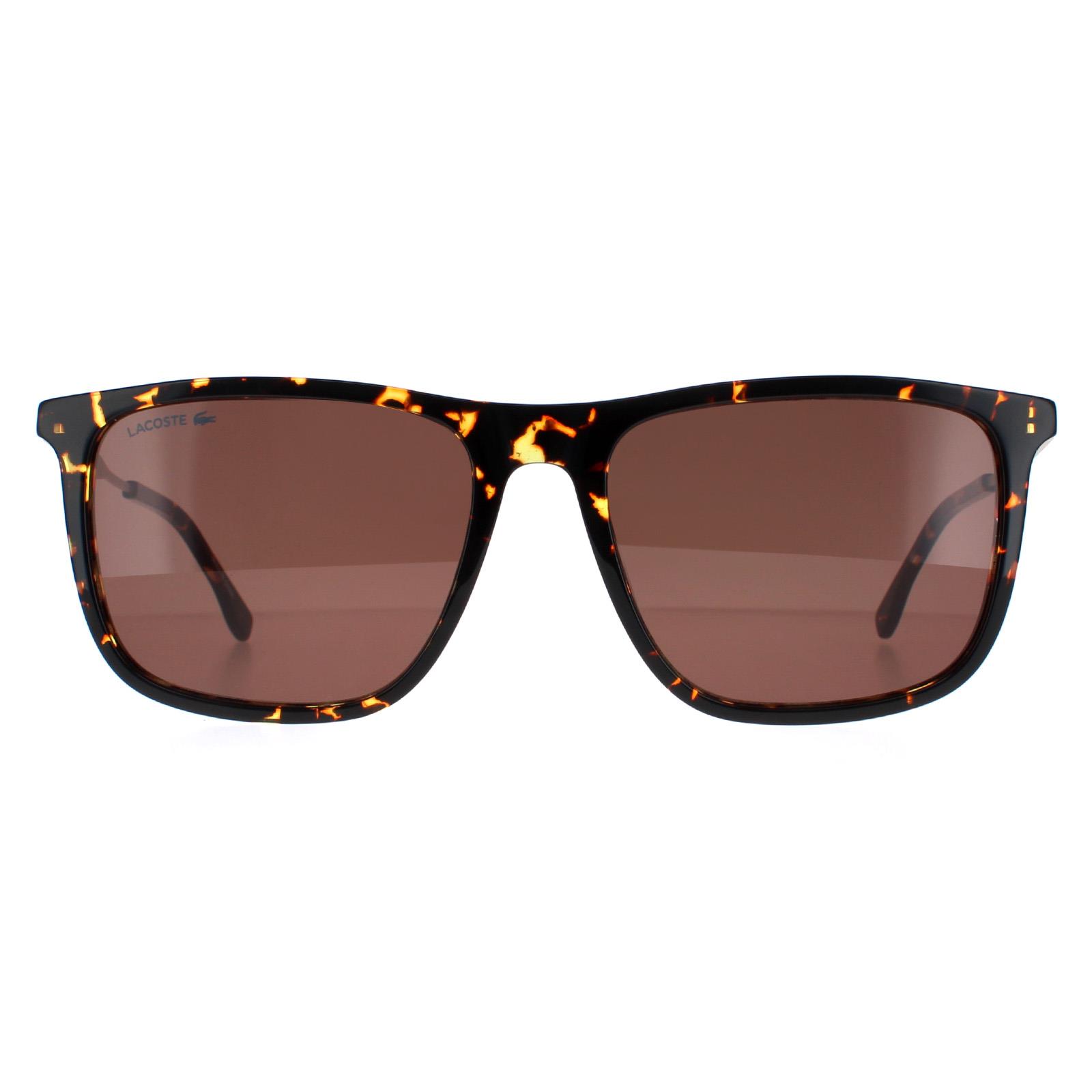 Lacoste Square Mens Havana Brown L945S - One Size