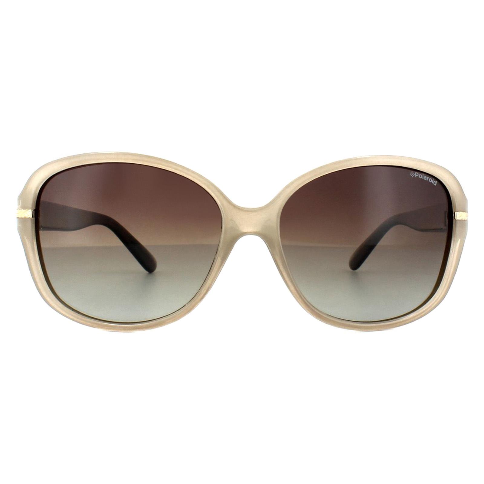 Polaroid Butterfly Womens Beige Havana Brown Gradient Polarized Sunglasses - One Size