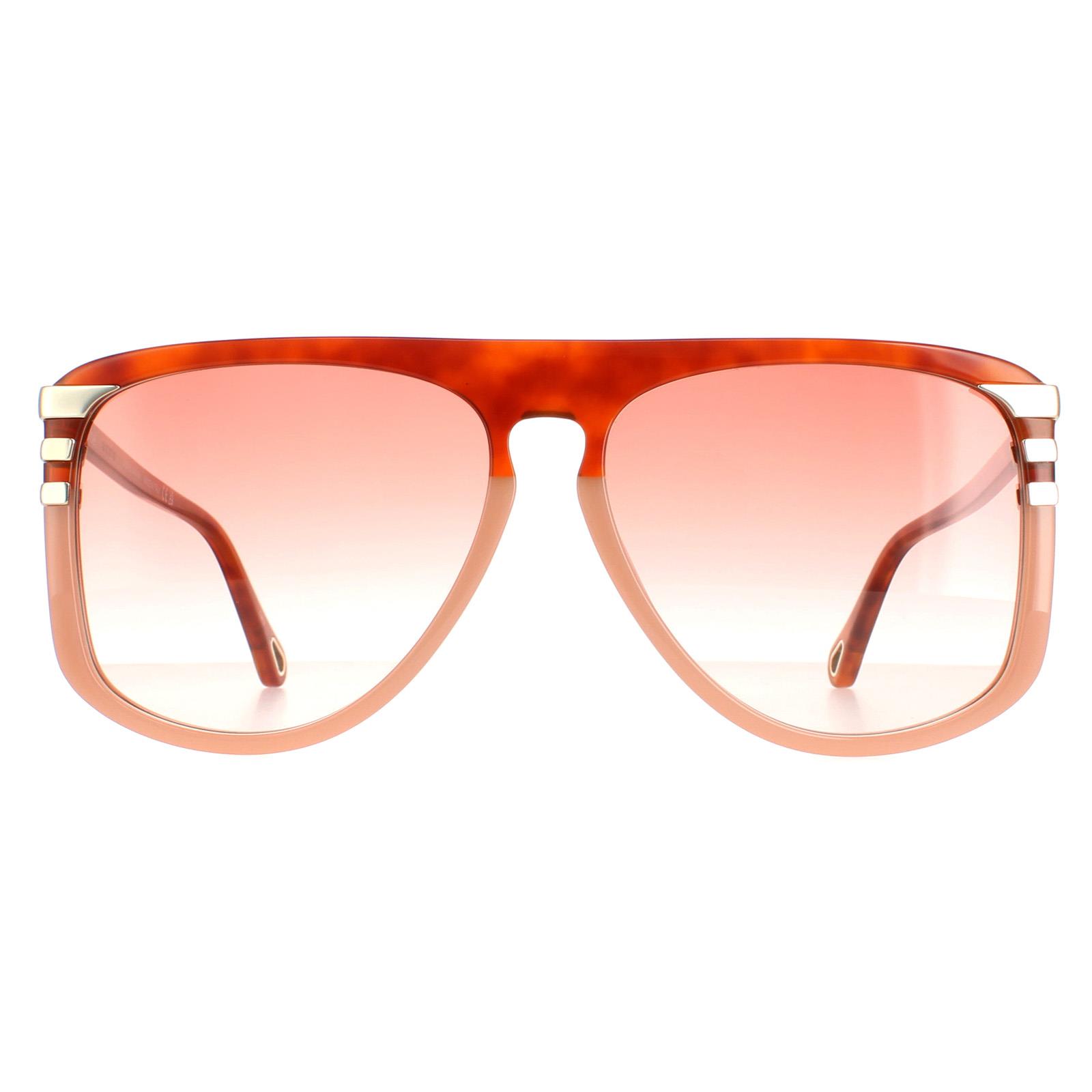 Chloé Chloe Aviator Womens Shiny Blonde Havana Orange Gradient CH0104S - Brown - One Size