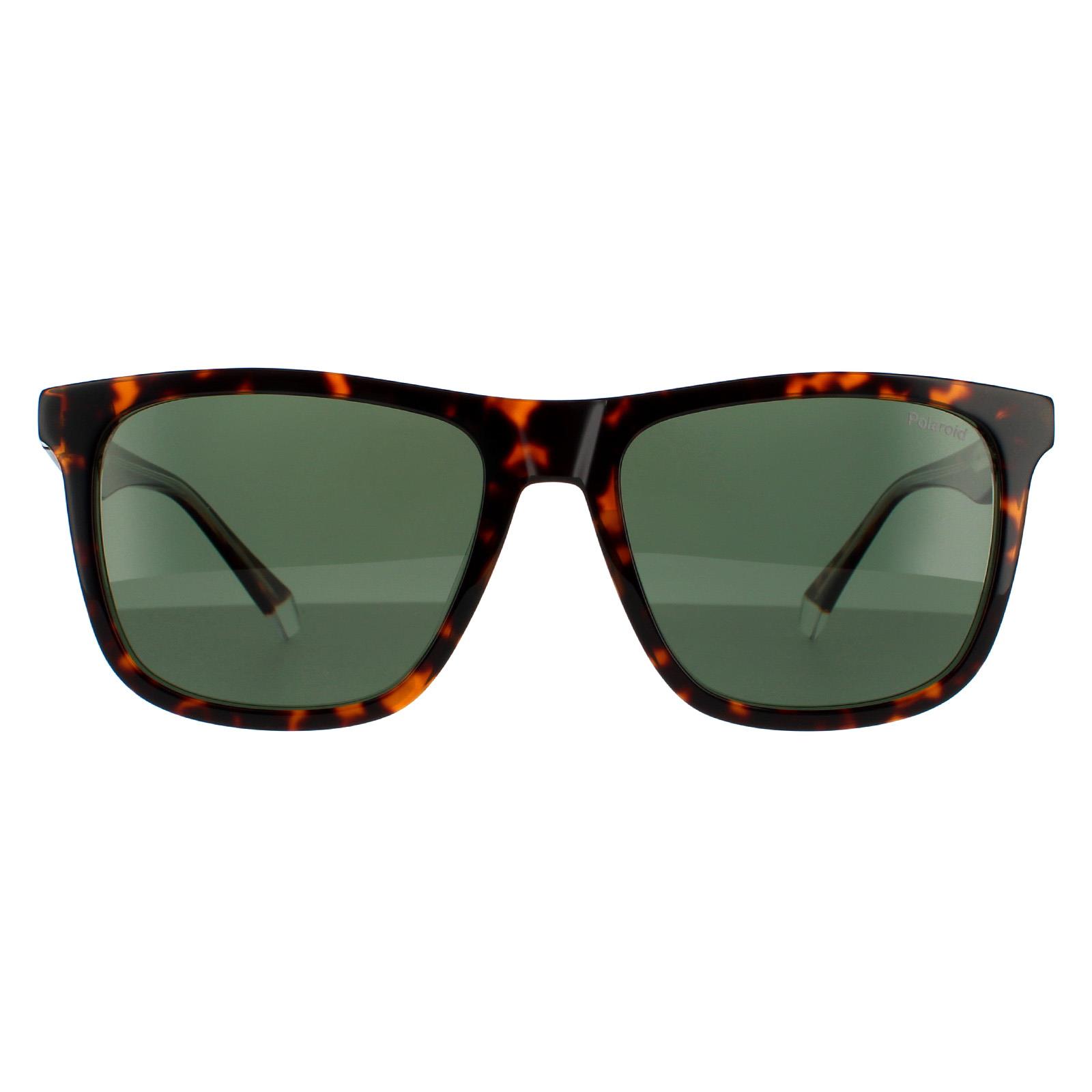 Polaroid Square Unisex Havana Green Polarized Sunglasses - Brown - One Size