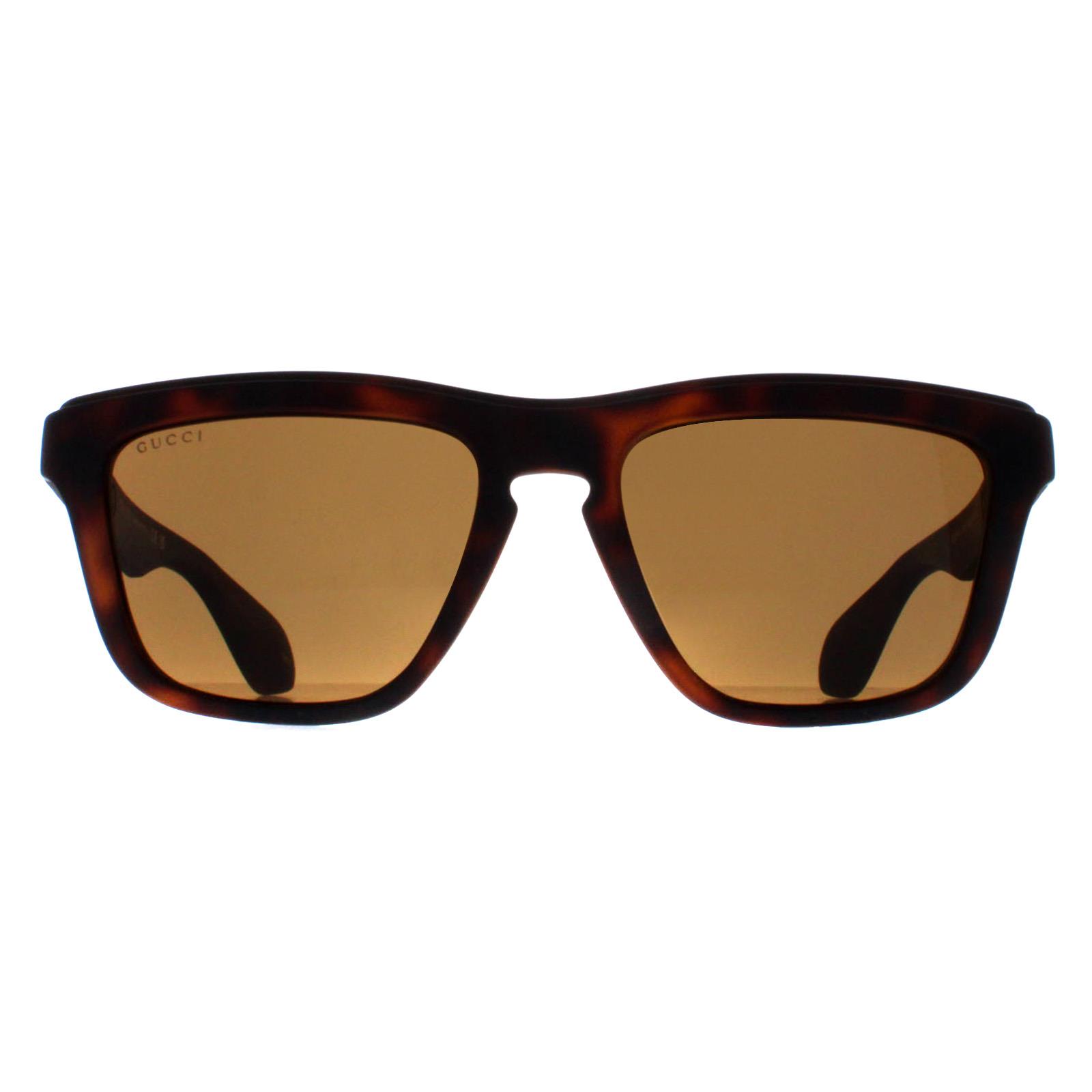 Gucci Rectangle Unisex Havana Brown GG1571S - One Size