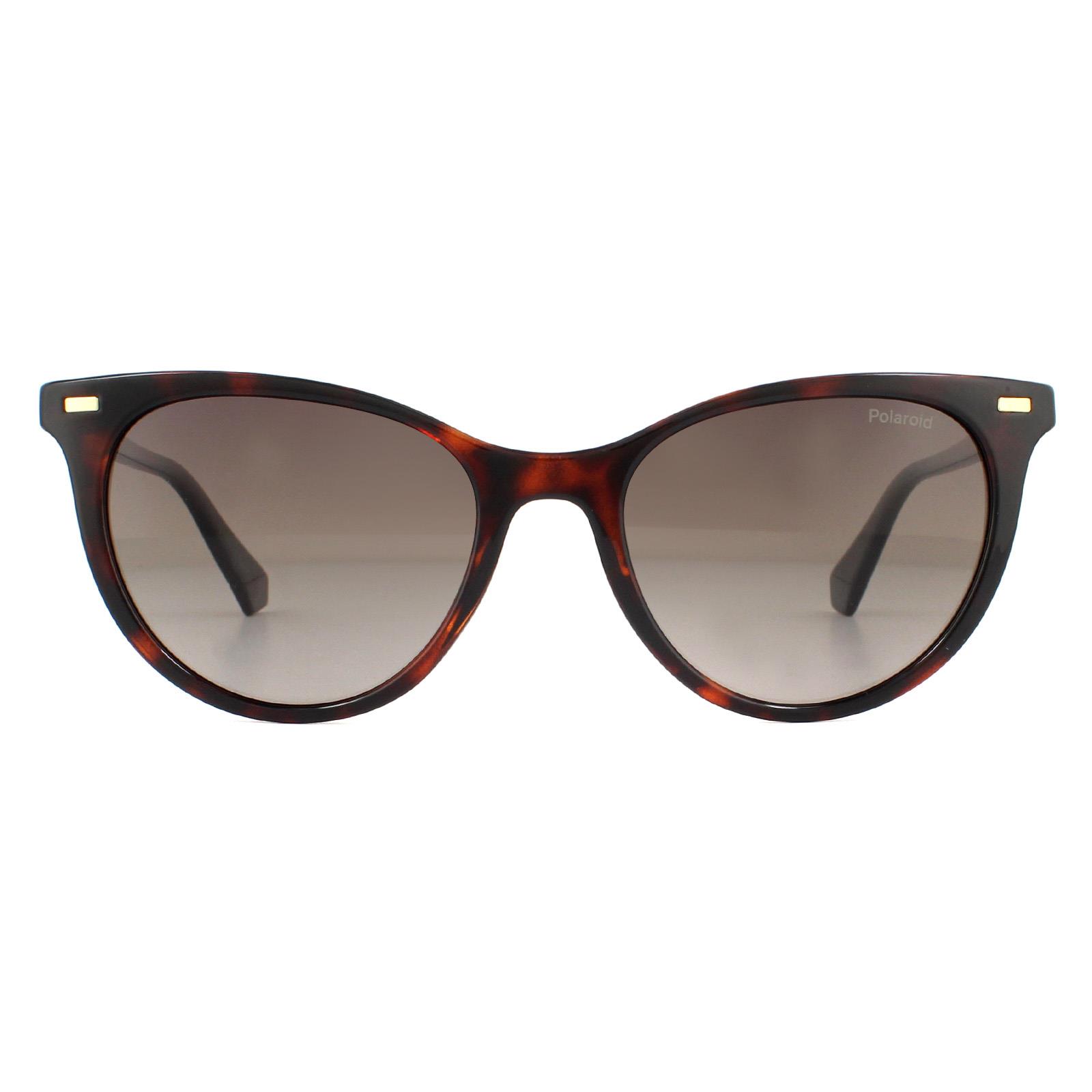Thumbnail - Polaroid Cat Eye Damen Havanna Braun Gradient Polarisierte Sonnenbrille