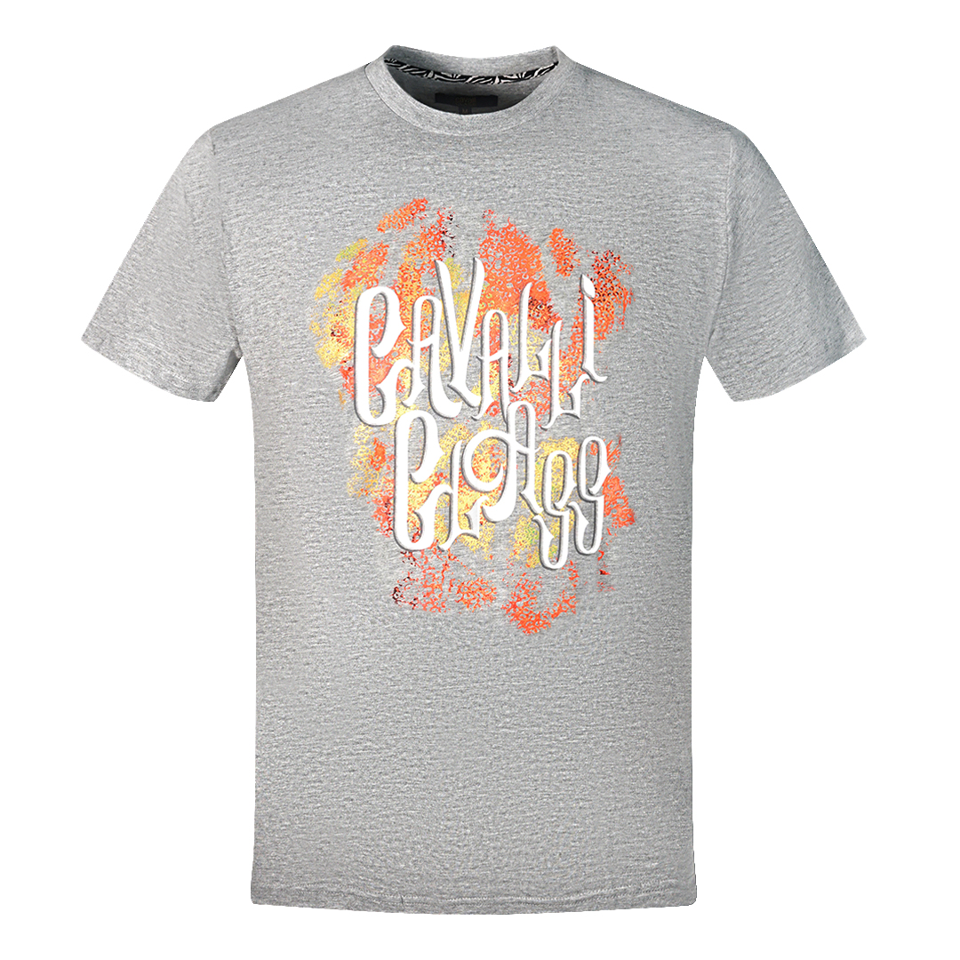 Thumbnail - Cavalli Class Kühnes Logo Graues T-Shirt