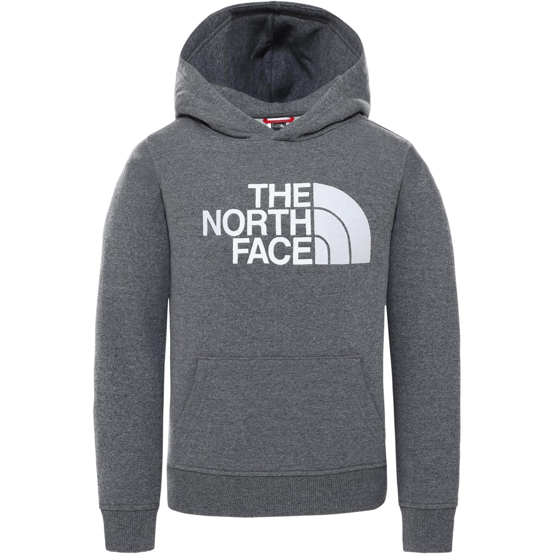 The North Face Unisex Kids Drew Peak Borduur Hoodie Grijs