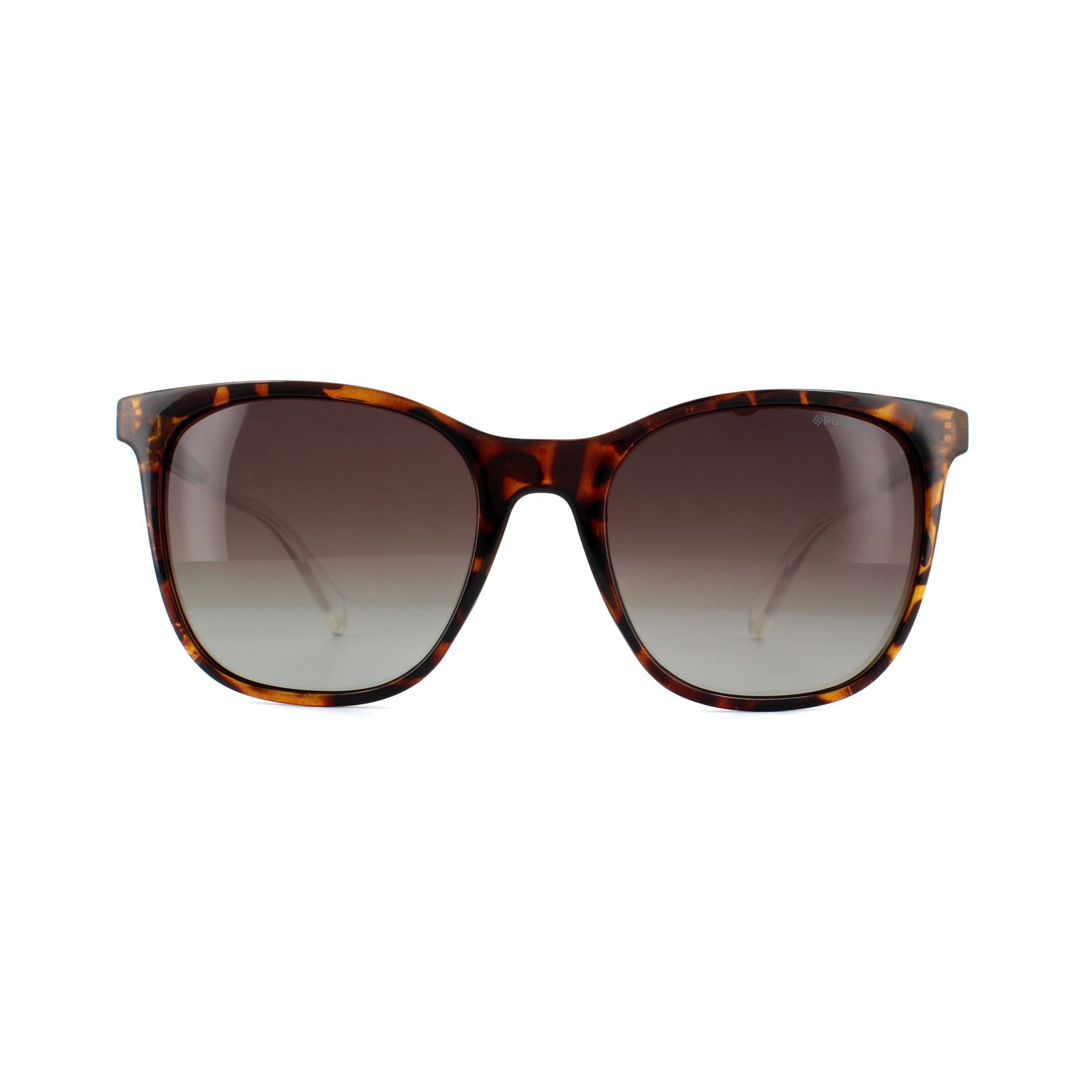 Thumbnail - Polaroid Square Womens Dark Havana Brown Polarisierte Sonnenbrille