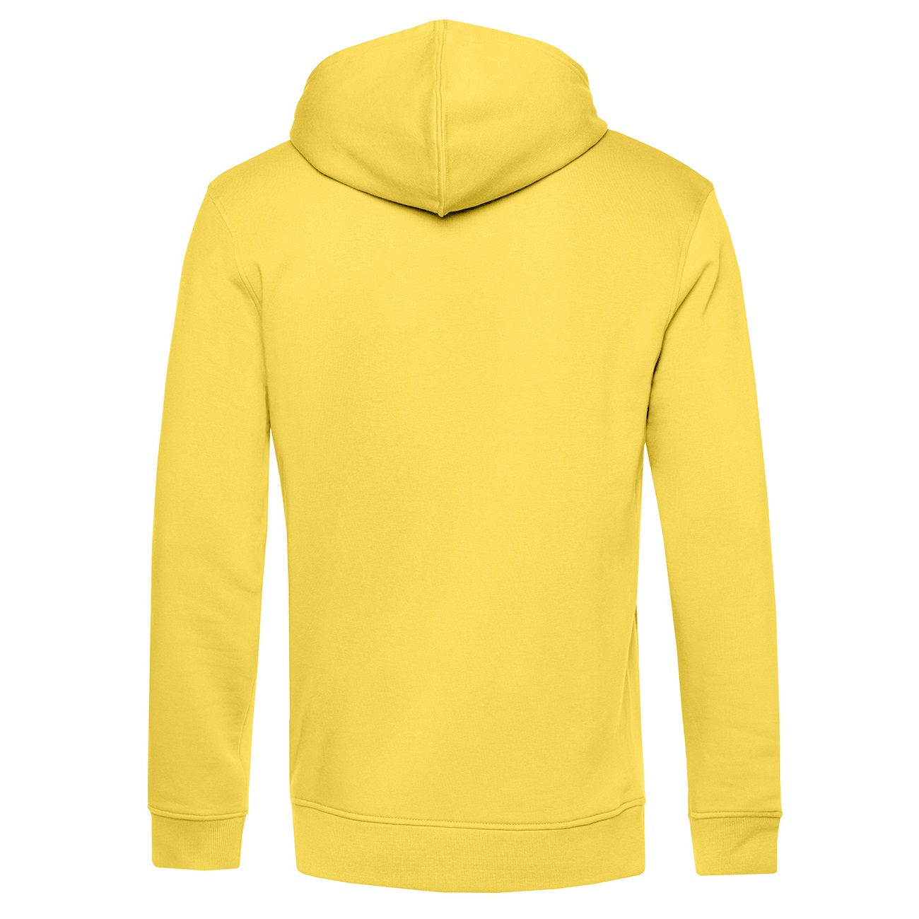 Est. 2013 Hoodies Basic Hoodie 2