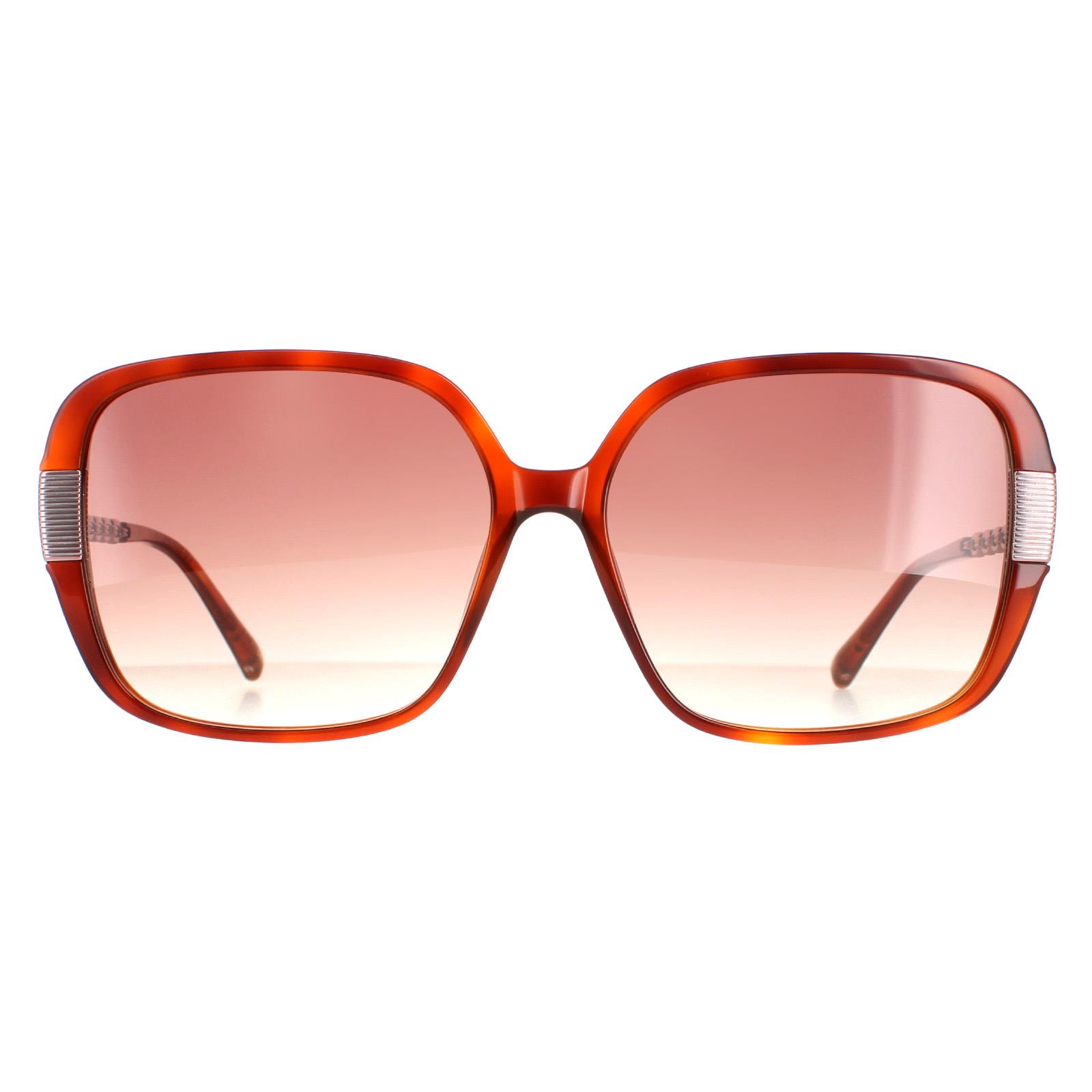 Thumbnail - Ted Baker Square Womens Tortoise Braun Braun Gradient TB1616 Indi