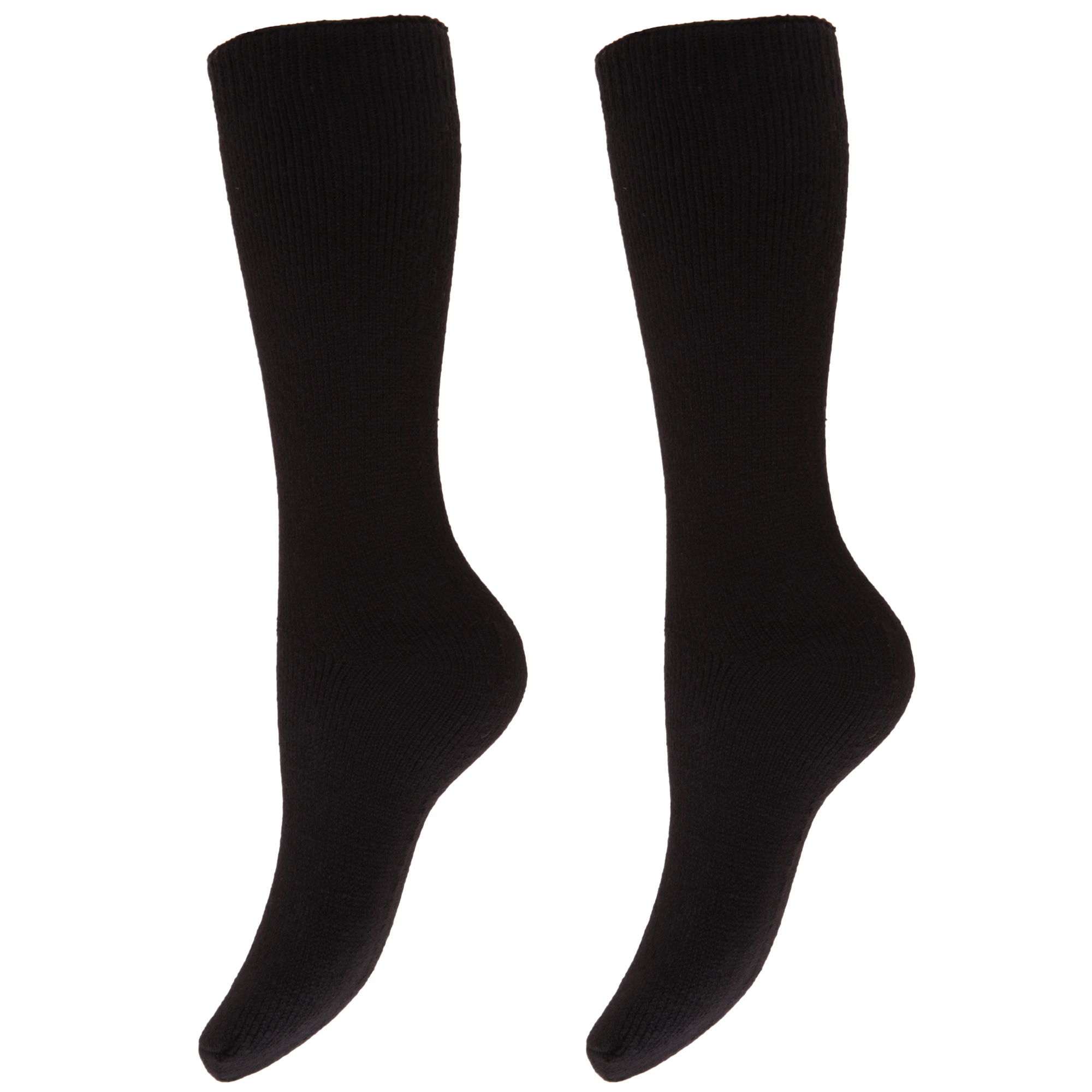 Floso Damen/Damen Thermo-Winter-Stiefel-Socken (2 Paar) (Schwarz)