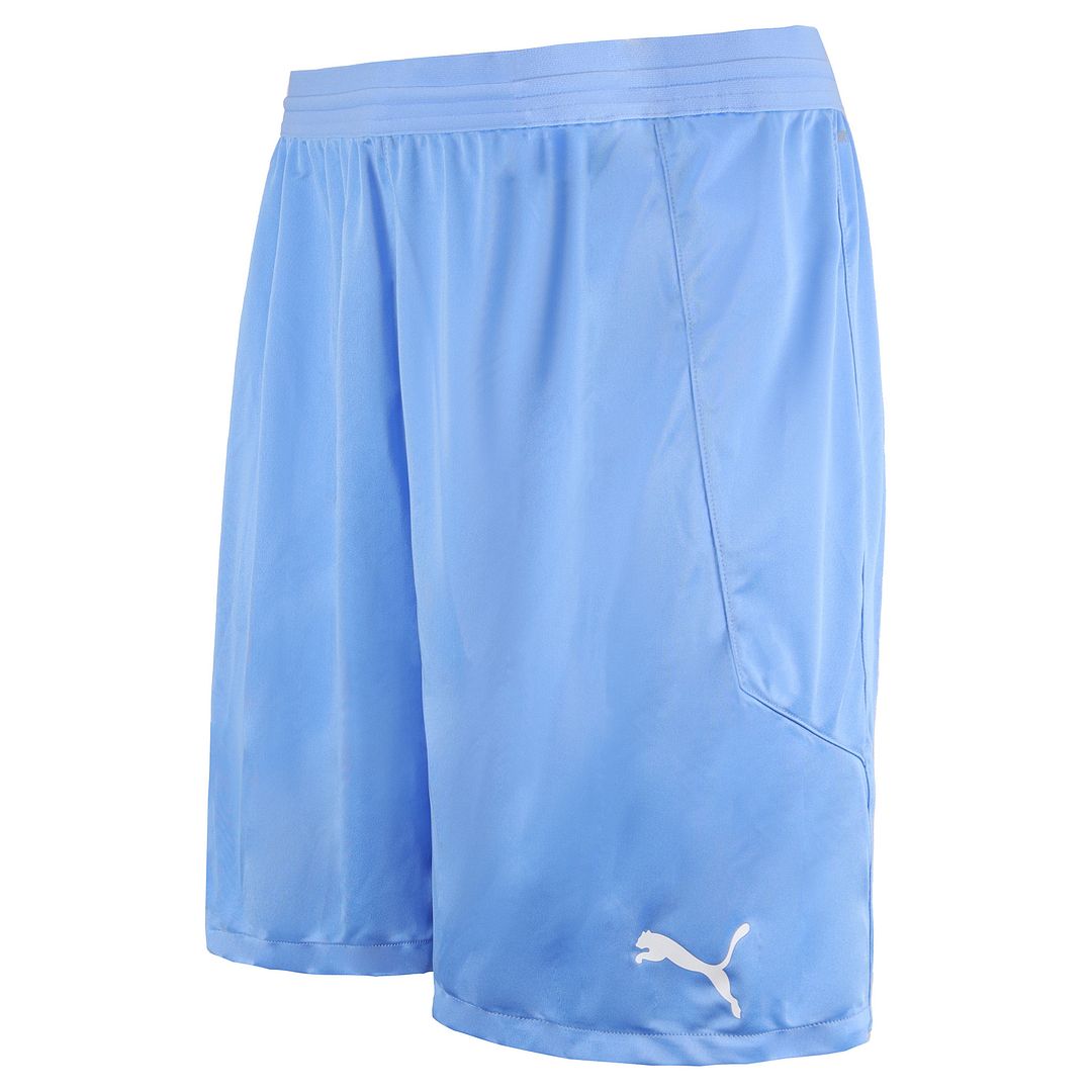 Puma DryCell TeamFinal 21 Stretch Midja Herr Ljusblå Shorts 704257 18 – bild 2