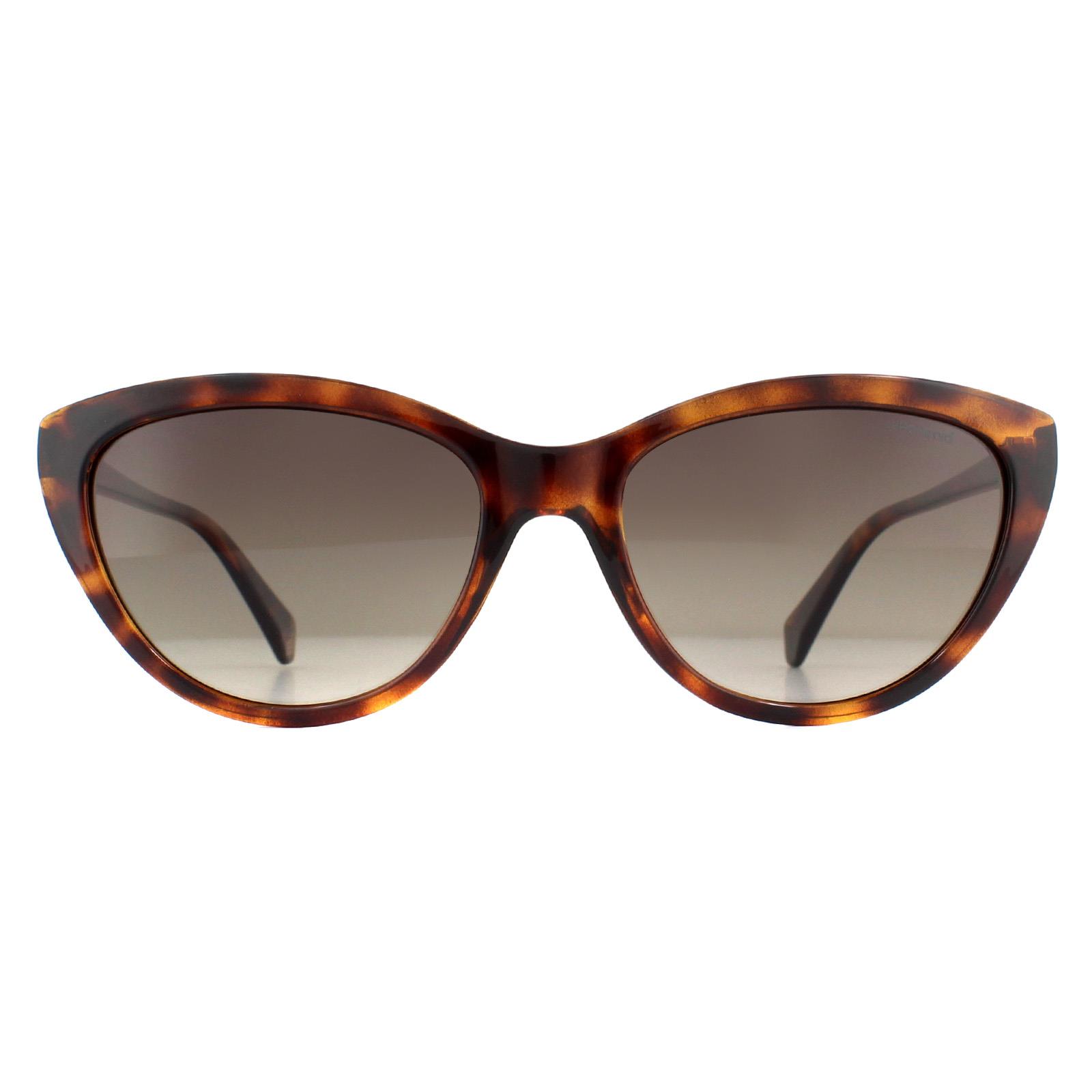 Polaroid Cat Eye Womens Havana Brown Gradient Polarized Sunglasses - One Size