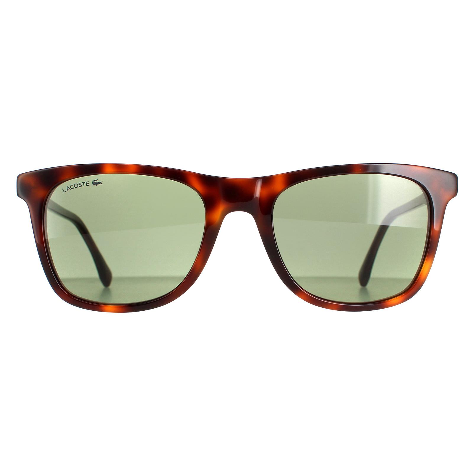 Thumbnail - Lacoste Carré Hommes Dark Havana Green L933S