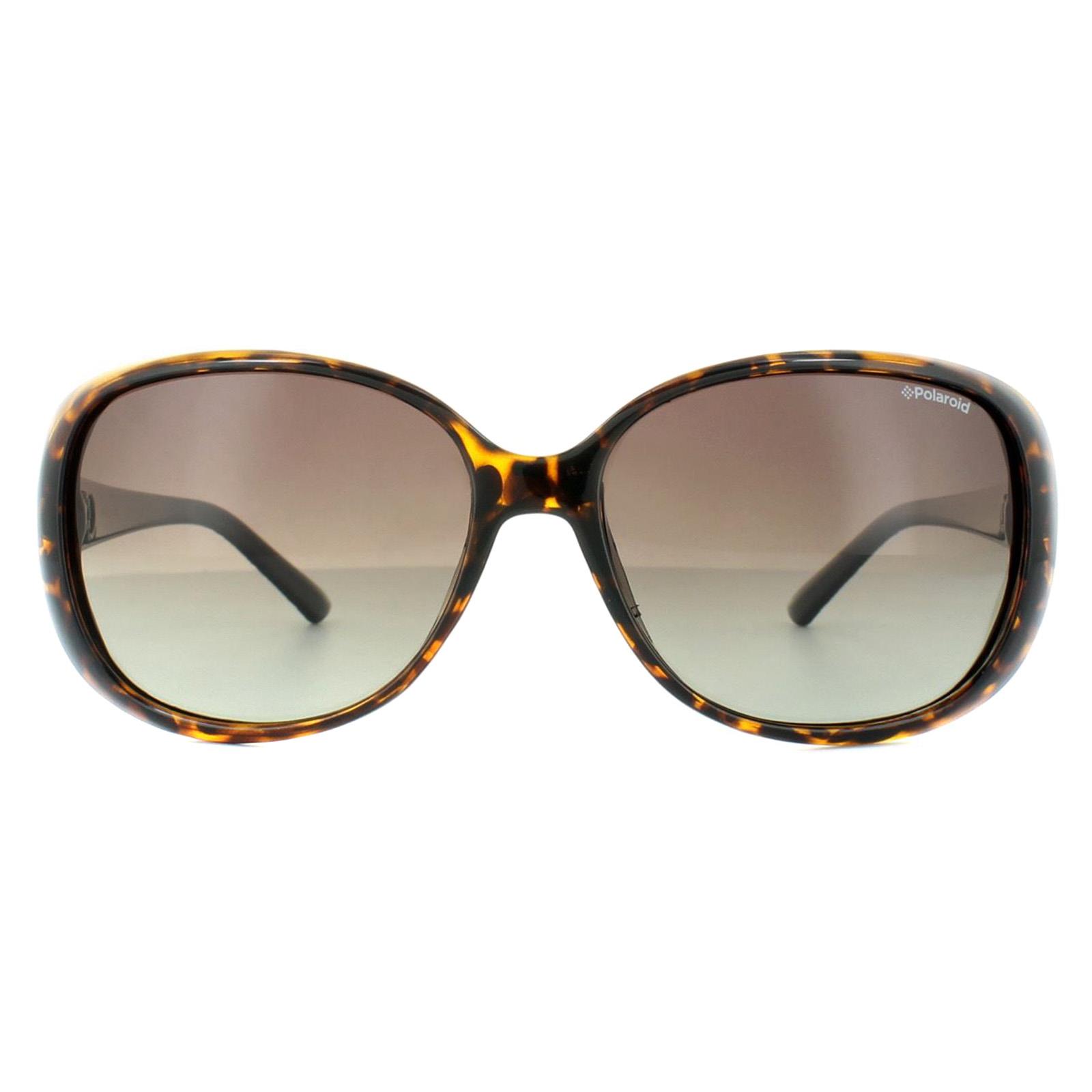 Thumbnail - Polaroid Butterfly Womens Havanna Schwarz Braun Gradient Polarisierte Sonnenbrille