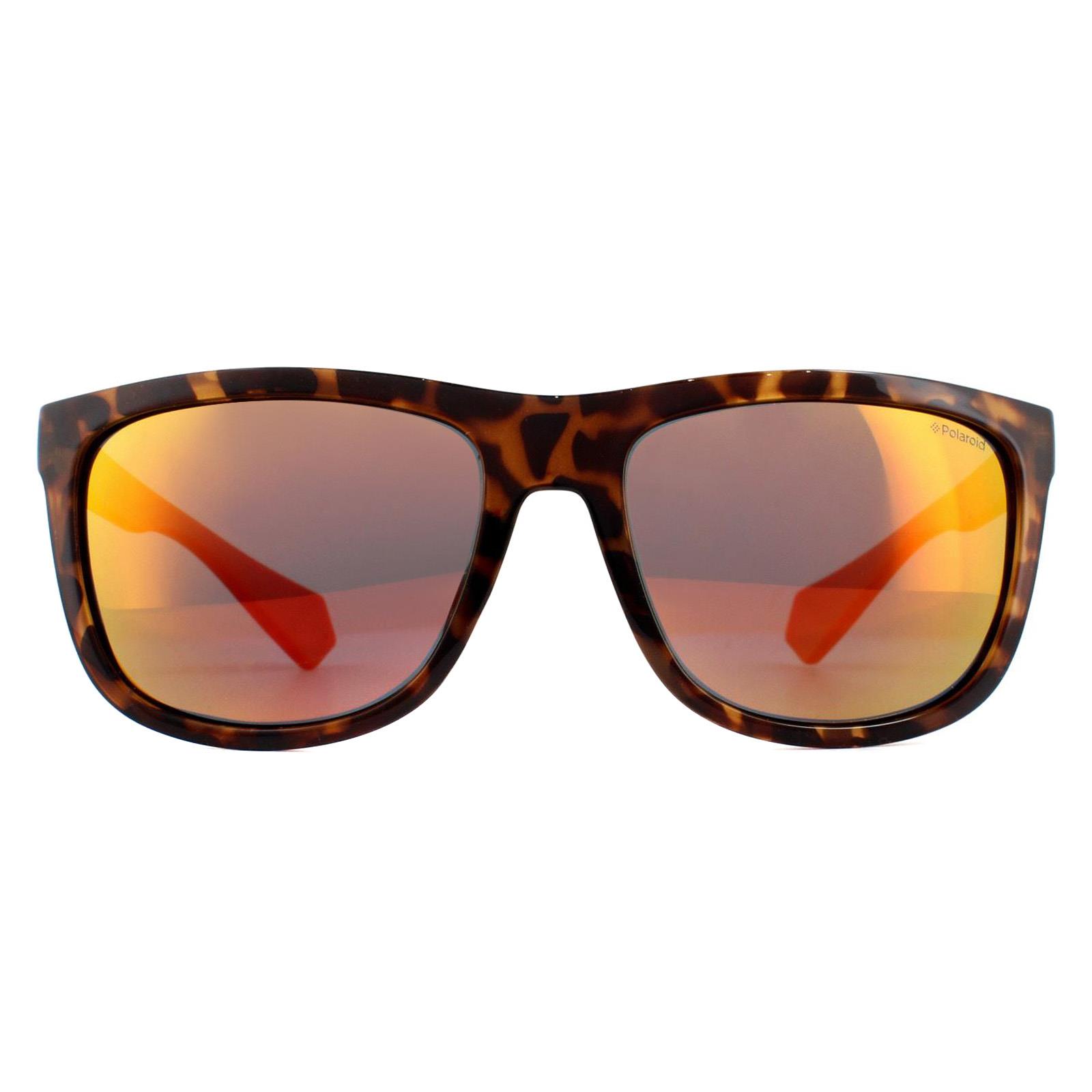 Thumbnail - Polaroid Round Mens Dark Havana Red Polarise Lunettes de soleil