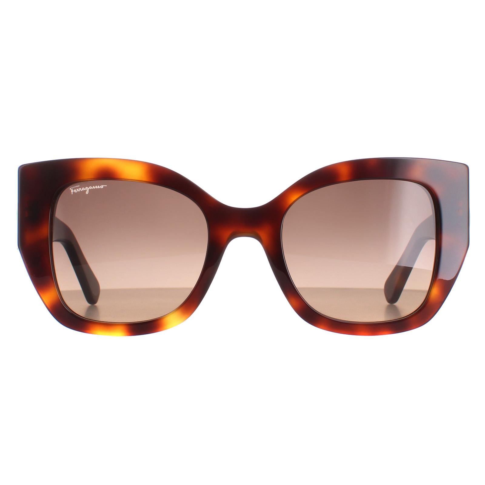 Salvatore Ferragamo Square Womens Classic Tortoise Brown Gradient SF1045S - One Size