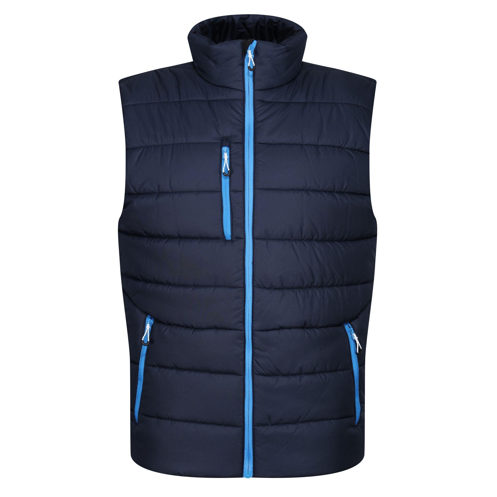 Regatta Thermische bodywarmer Navigate voor heren (Marine / Frans Blauw)