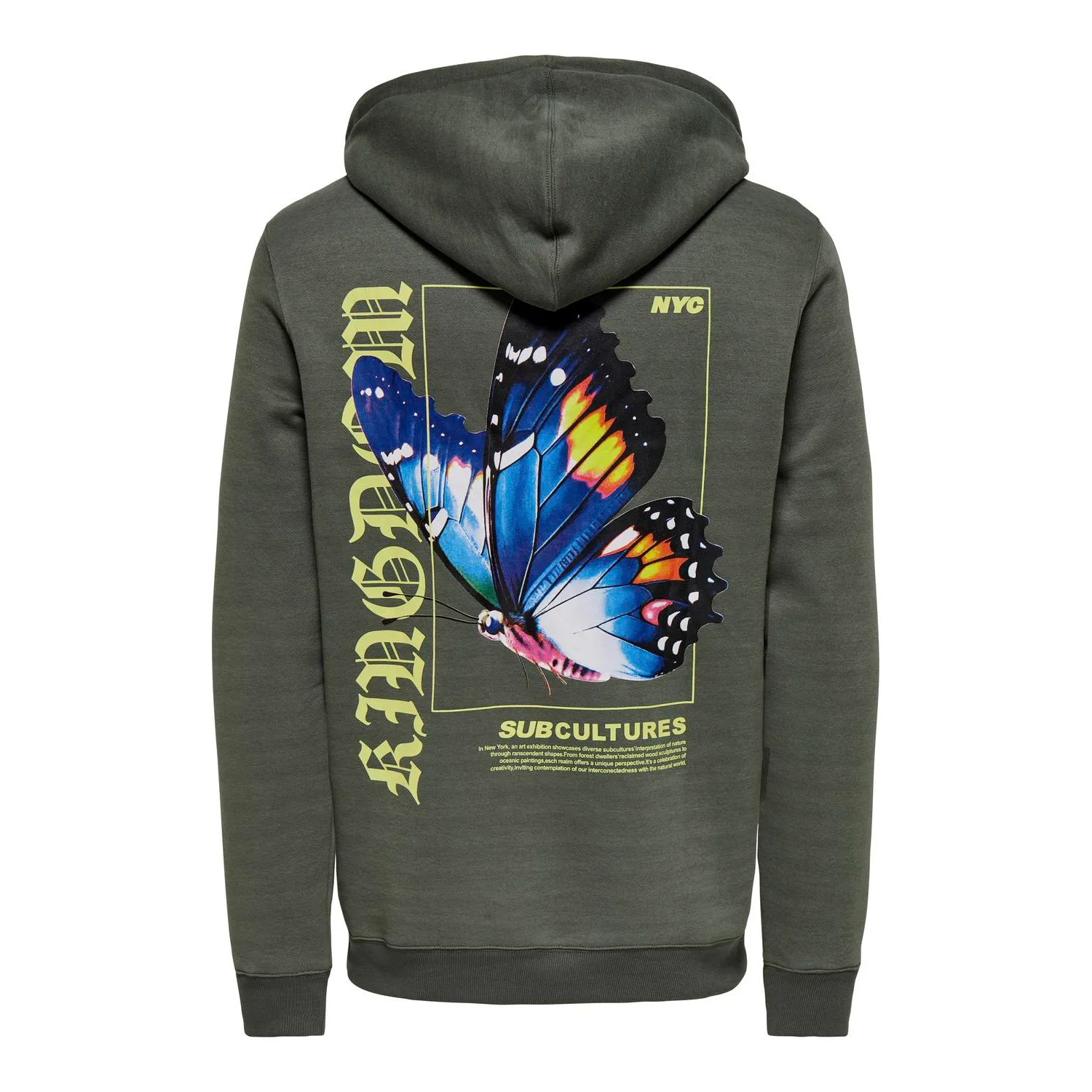 Luvtröjor Keane Hoodie 2