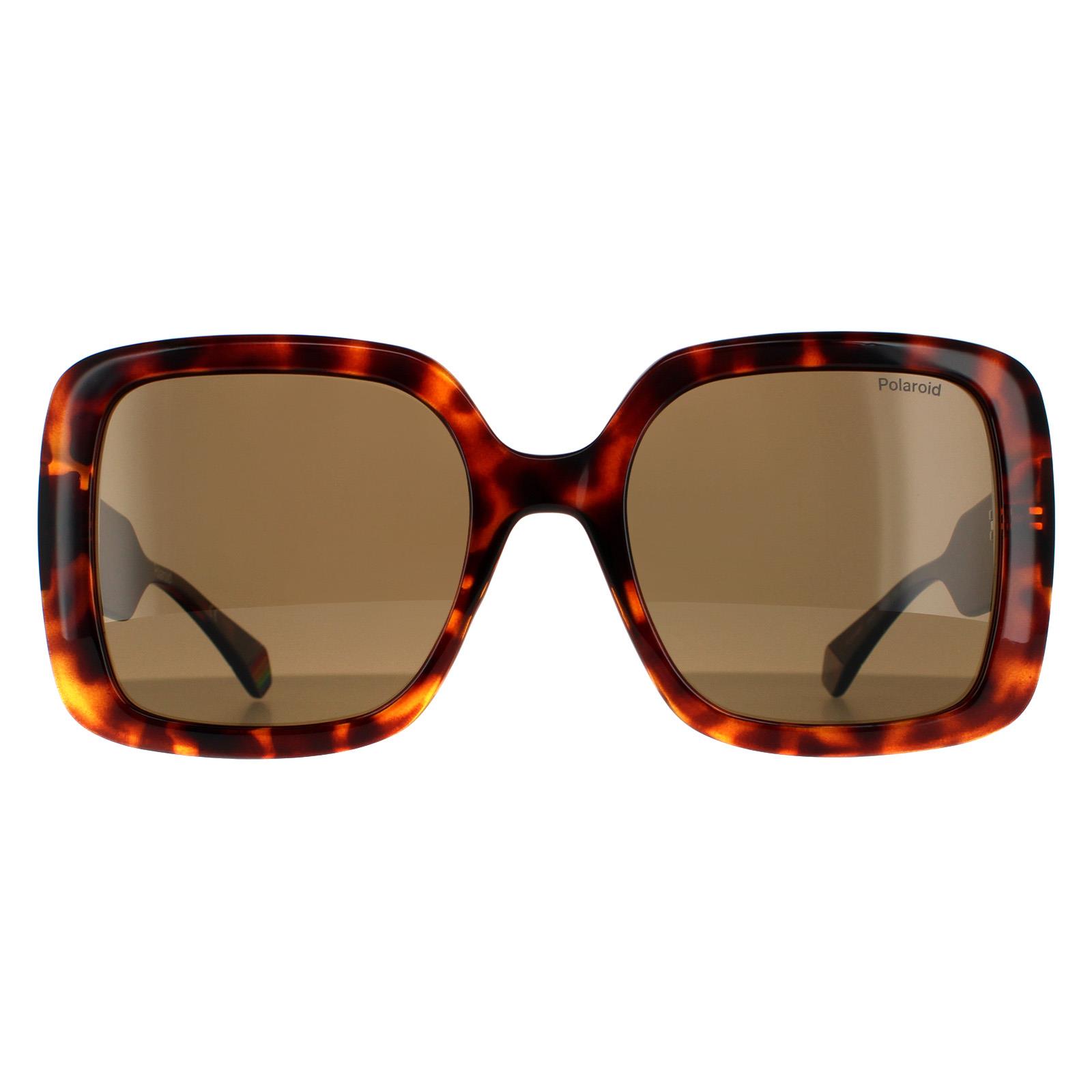 Polaroid Square Womens Dark Havana Bronze Polarized Sunglasses - Brown - One Size