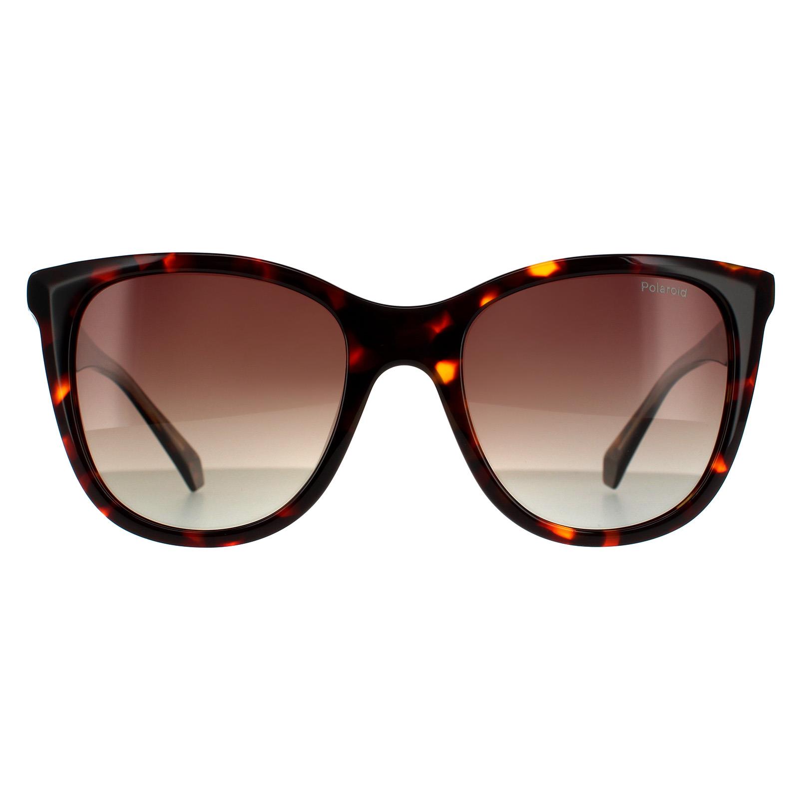 Thumbnail - Polaroid Square Womens Havanna Braun Gradient Polarisierte Sonnenbrille
