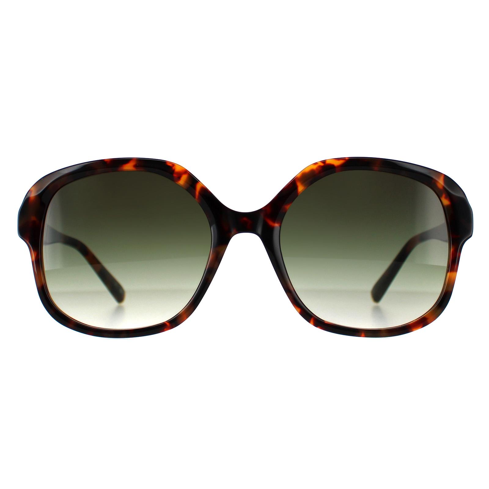 Ted Baker Square Womens Tortoise Grey Gradient TB1685 Eloise - Brown - One Size