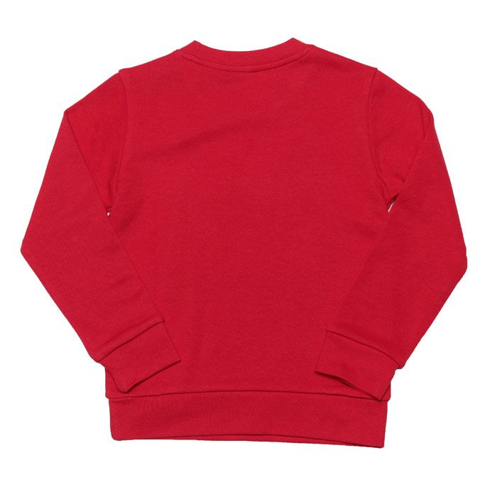 Junior Boys adidas Originals Crew Sweat  Red.  <BR><BR>- Regular fit is not tight and not loose  the perfect in-between fit. <BR>- Ribbed crewneck.<BR>- Long sleeves; drop shoulders; Ribbed cuffs. <BR>- Soft feel. <BR>- Ribbed hem.<BR>- Big Trefoil logo.<BR>- 70% cotton  30% polyester. Machine washable.<BR>- Ref: ED7798J