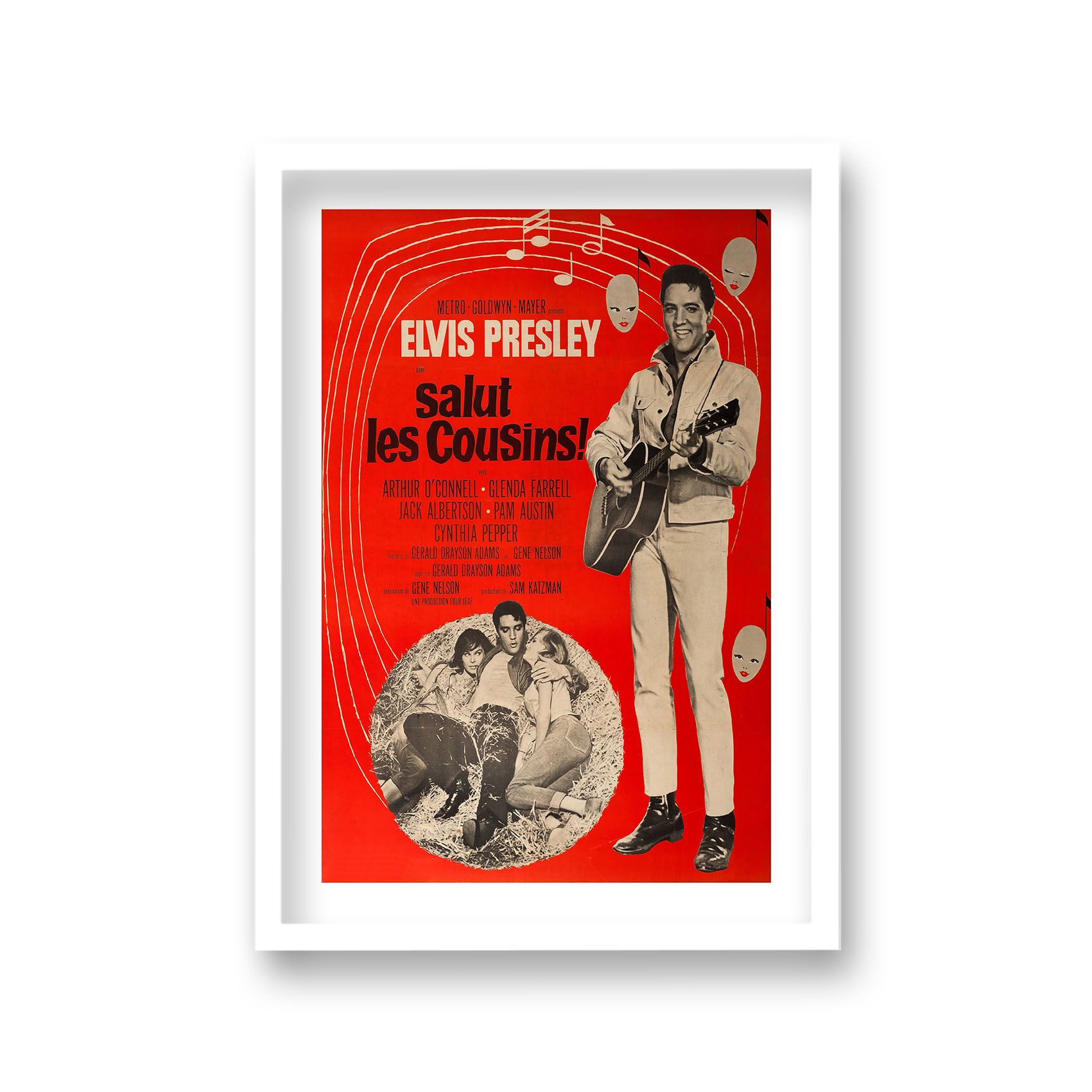Elvis Presley Kissing Cousins Vintage Movie Poster French