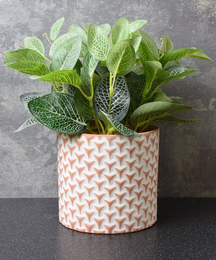 Perfect for habitual plant killers, Evergreen Home faux plants will stay green (and alive) literally forever.
