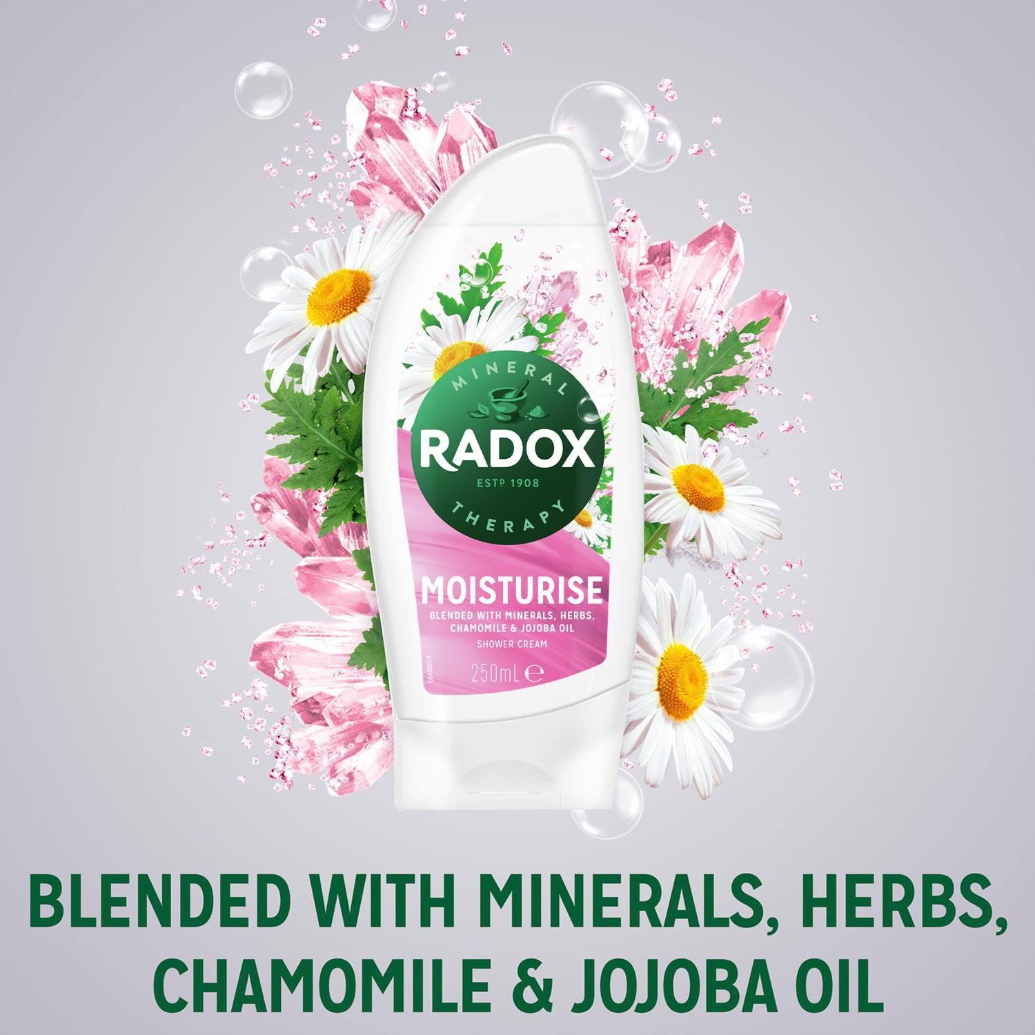 Radox Shower Gel, Moisture, 250ml