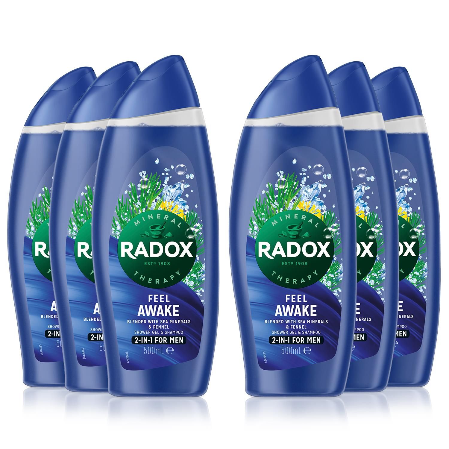 Radox for Men 2 in 1 Shower gel and Shampoo Fennel and Sea Minerals 6x