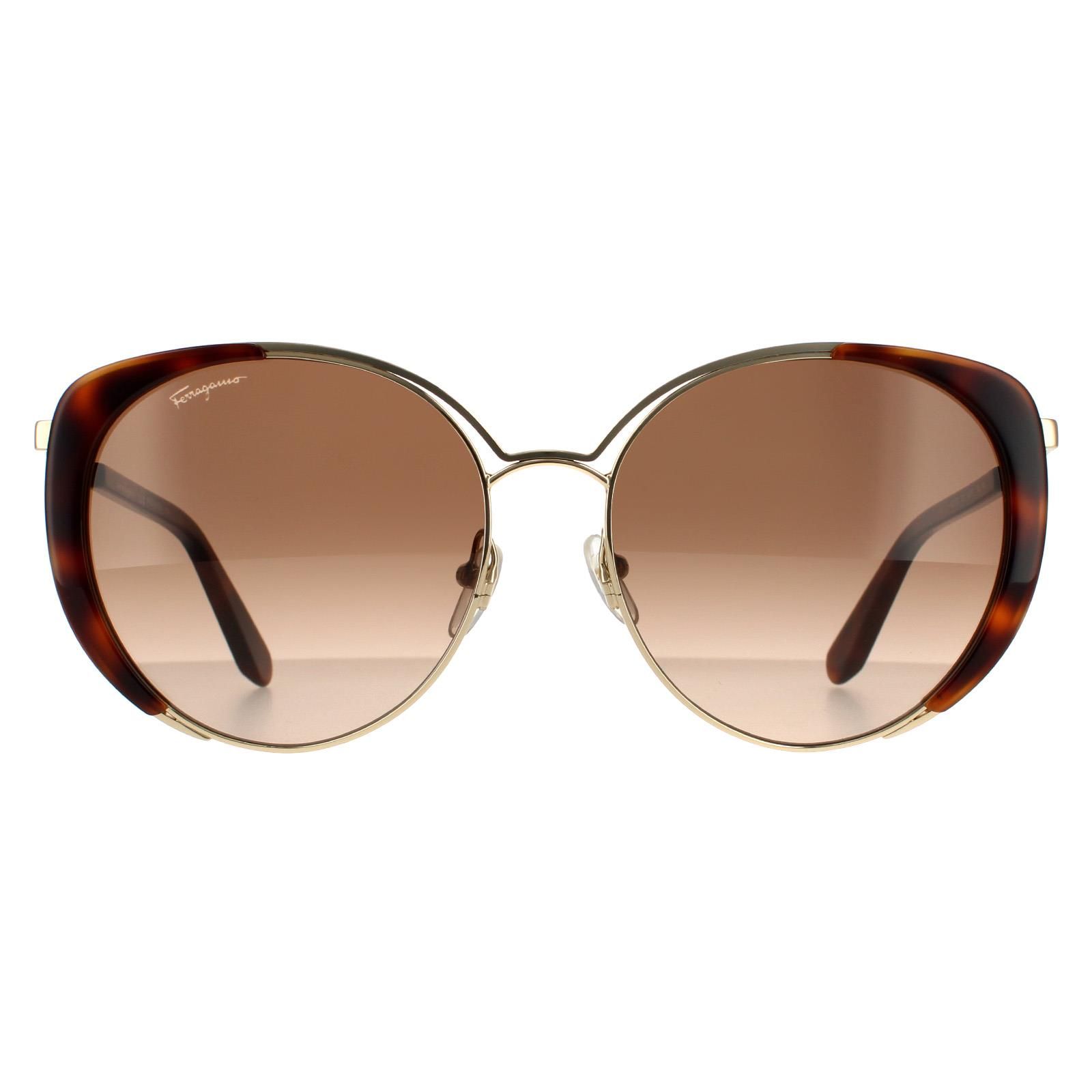 Salvatore Ferragamo zonnebril SF207S Gouden schildpad bruin gradiënt