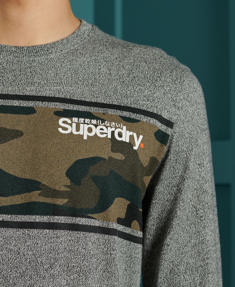 Superdry Core Logo Camo Stripe T-Shirt
