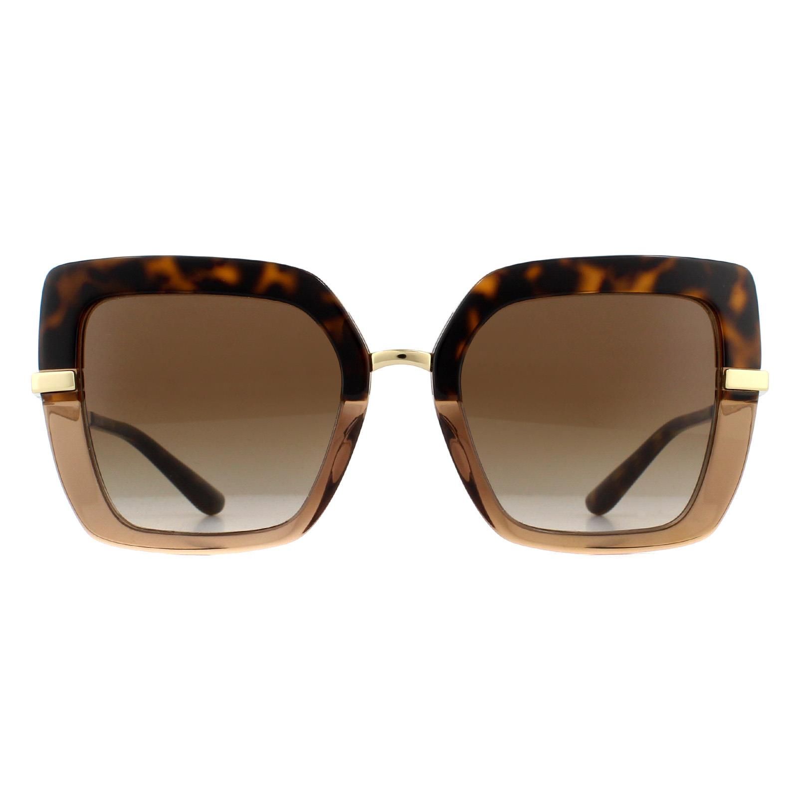 Dolce & Gabbana Sunglasses DG4373 325613 Top Havana on Transparent ...