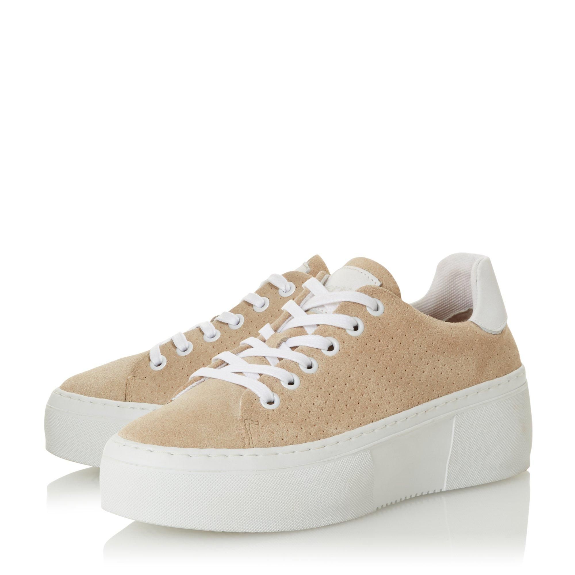 bertie trainers