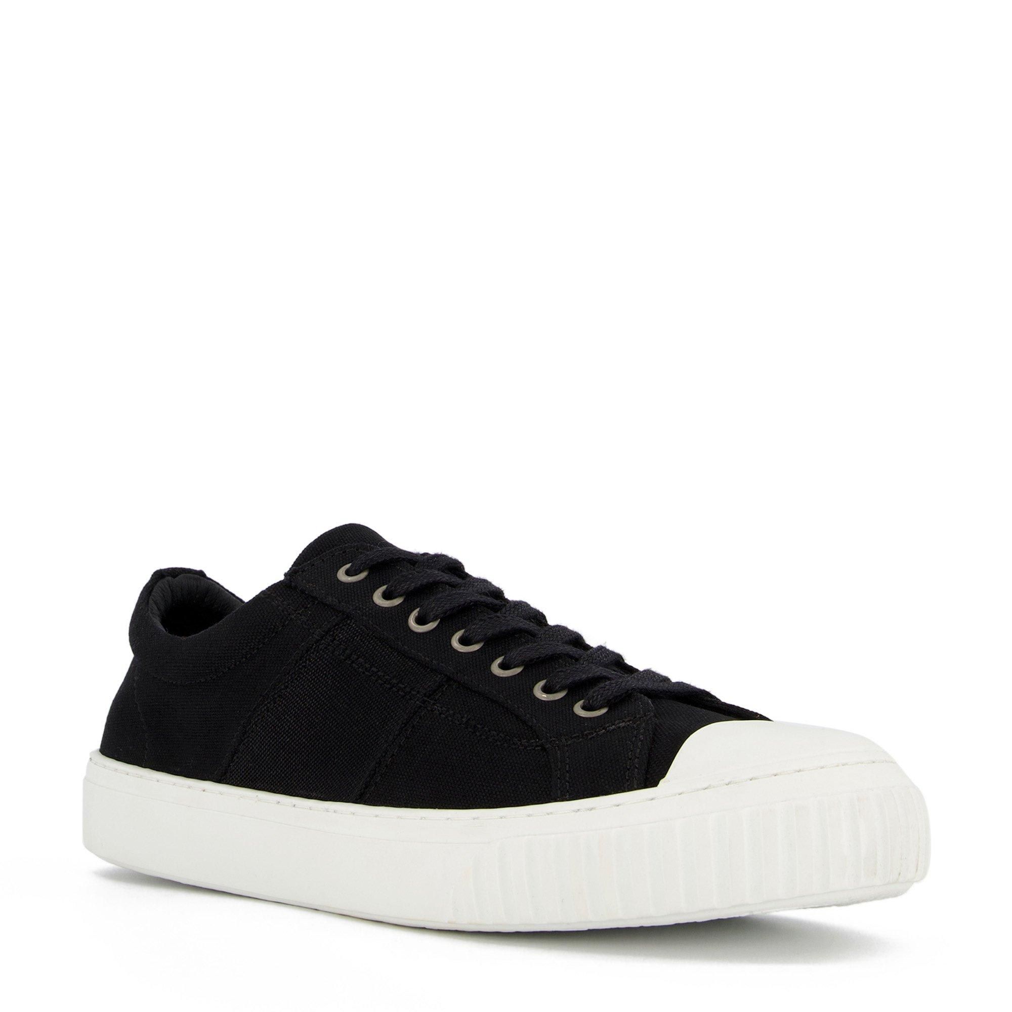 bertie trainers