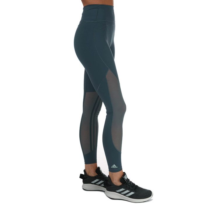 Stripes Mesh Long Tights in Blue