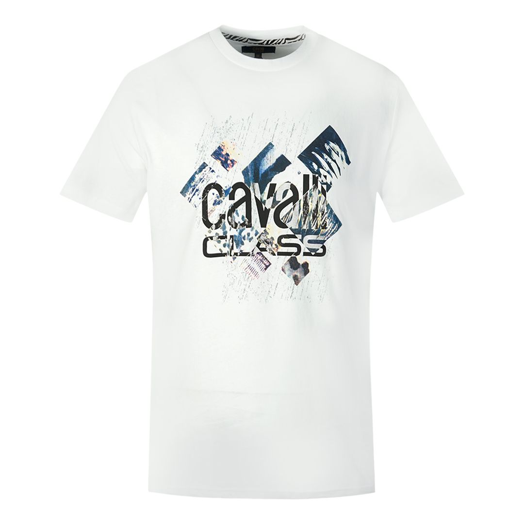 Cavalli Class Grigio Cotton Men T-Shirt