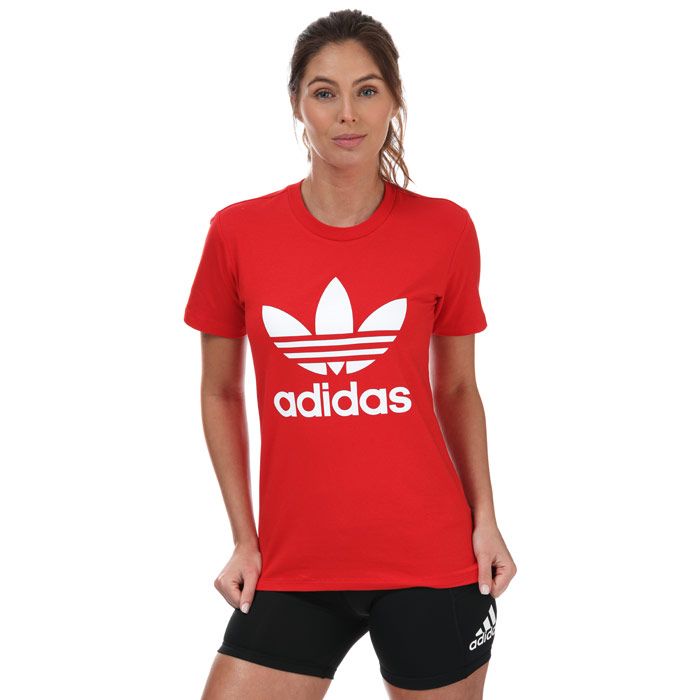 Women's adidas Originals Adicolor 