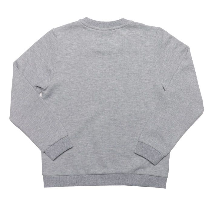 Junior Boys Lacoste Logo Crew Sweat<BR>- Ribbed Collar  Cuffs & Hem.<BR>- Printed to front.<BR>- Embroidered crocodile logo to hem.<BR>-70% Cotton  30% Polyester  Machine Washable <BR> Ref No. SJ8130CCA