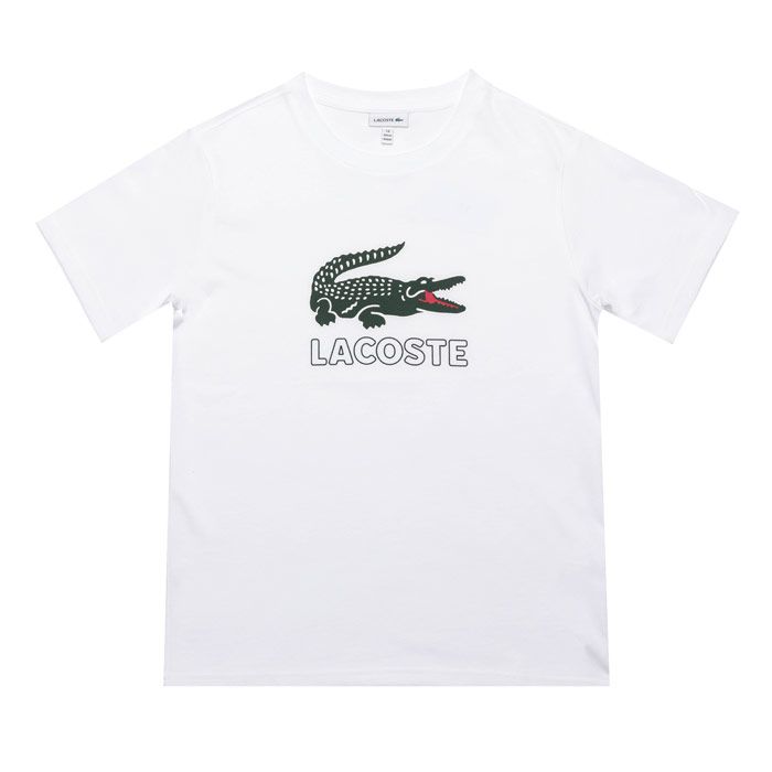 Junior Boys Lacoste Logo Crew Neck T-Shirt<BR><BR>- Ribbed crew neck<BR>- Cotton jersey<BR>- Embroidered Lacoste logo to chest<BR>- 100% Cotton<BR>- Ref: TJ7624001