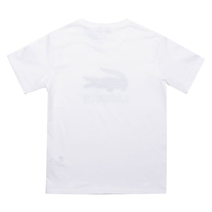 Junior Boys Lacoste Logo Crew Neck T-Shirt<BR><BR>- Ribbed crew neck<BR>- Cotton jersey<BR>- Embroidered Lacoste logo to chest<BR>- 100% Cotton<BR>- Ref: TJ7624001