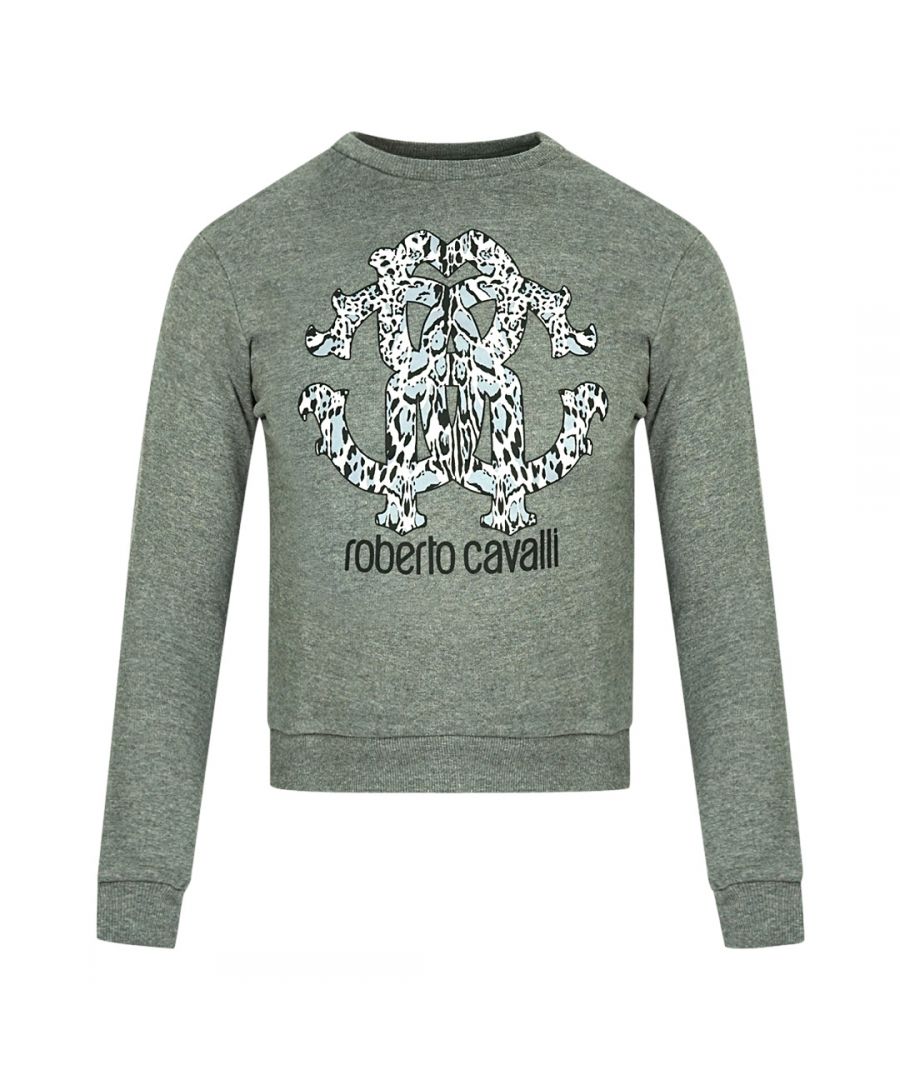 Roberto Cavalli Lynx Mogogram print logo grijs sweatshirt. Roberto Cavalli grijze trui met ronde hals. Roberto Cavalli-branding. 100% katoen. Geribbelde mouw- en taille-uiteinden. Stijl: IST68K CF054 Z0028