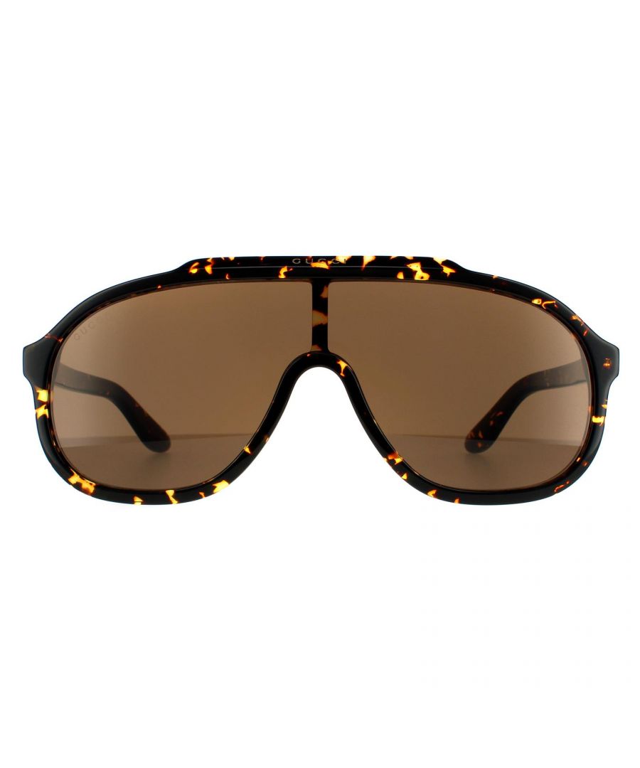 Image for Gucci Aviator Mens Havana Brown Sunglasses