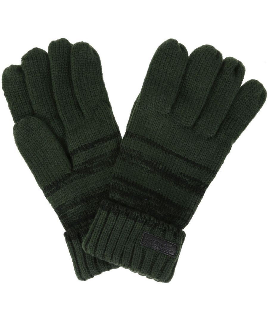 Image for Regatta Mens Davion Marl Stripe Winter Walking Gloves