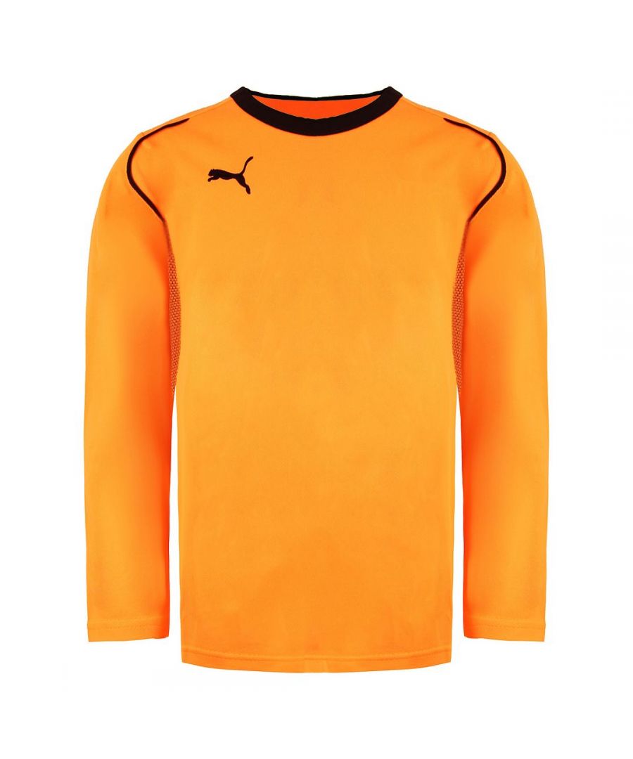 Puma V5.08 Long Sleeve Crew Neck Fluo Orange Mens Football Shirt 700472 08