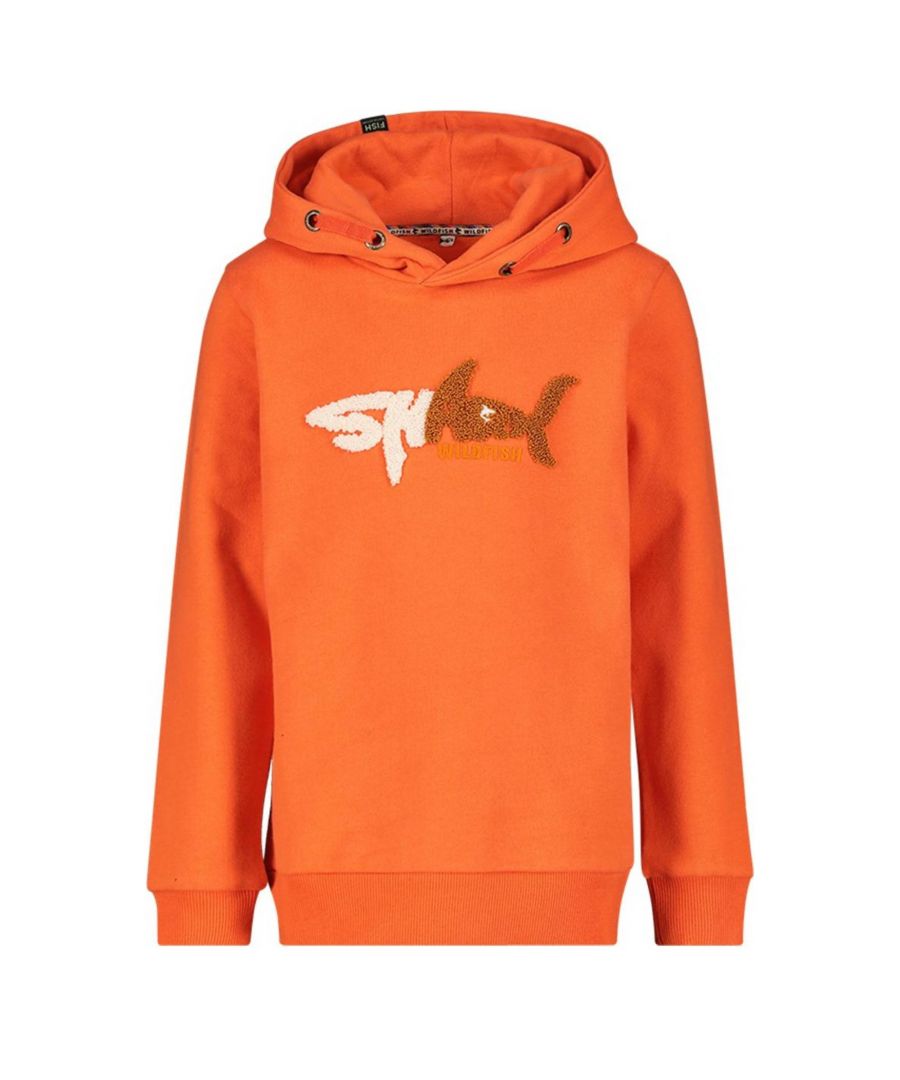 Deze hoodie voor jongens van Wildfish is gemaakt van biologisch katoen en heeft een printopdruk. Het model heeft een ronde hals en lange mouwen.details van deze sweater:stijlnaam: Kenn