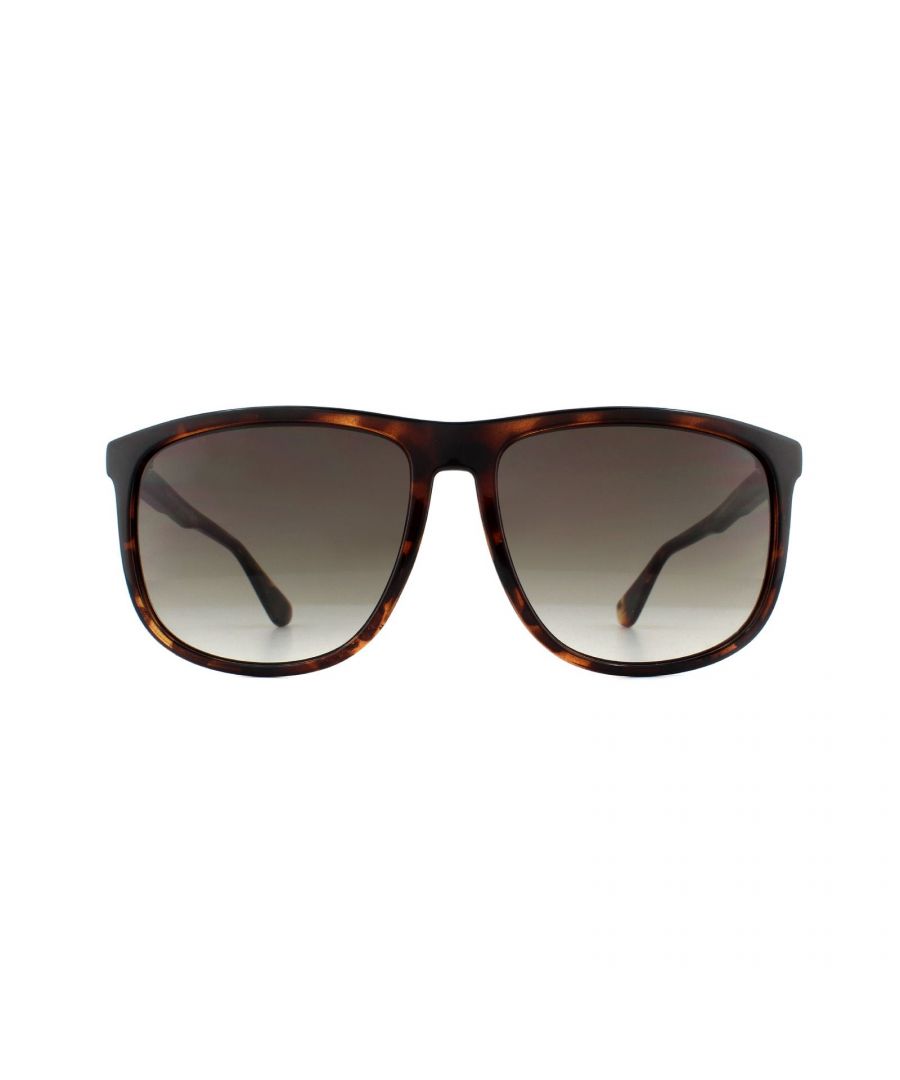 Tommy Hilfiger Square Mens Dark Havana Brown Gradient Sunglasses