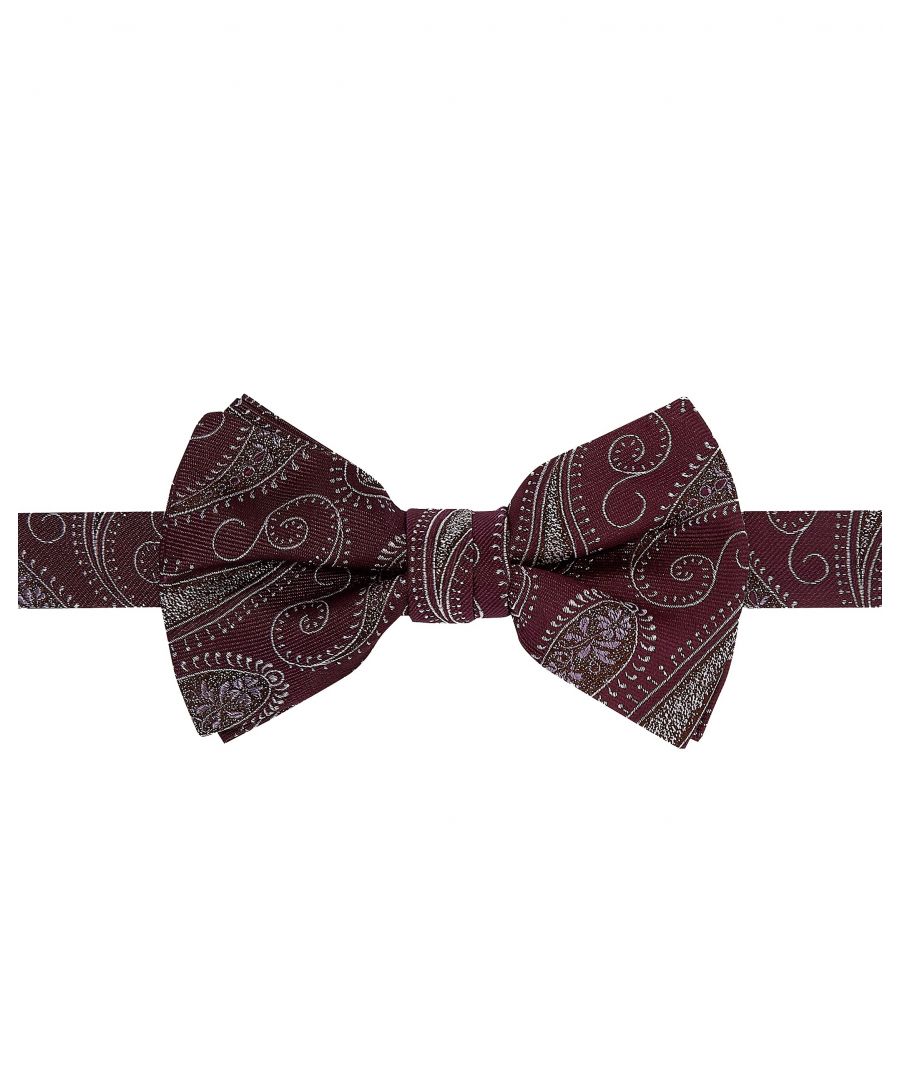 Image for Ted Baker Cashbow Paisley Bow Tie, Purple